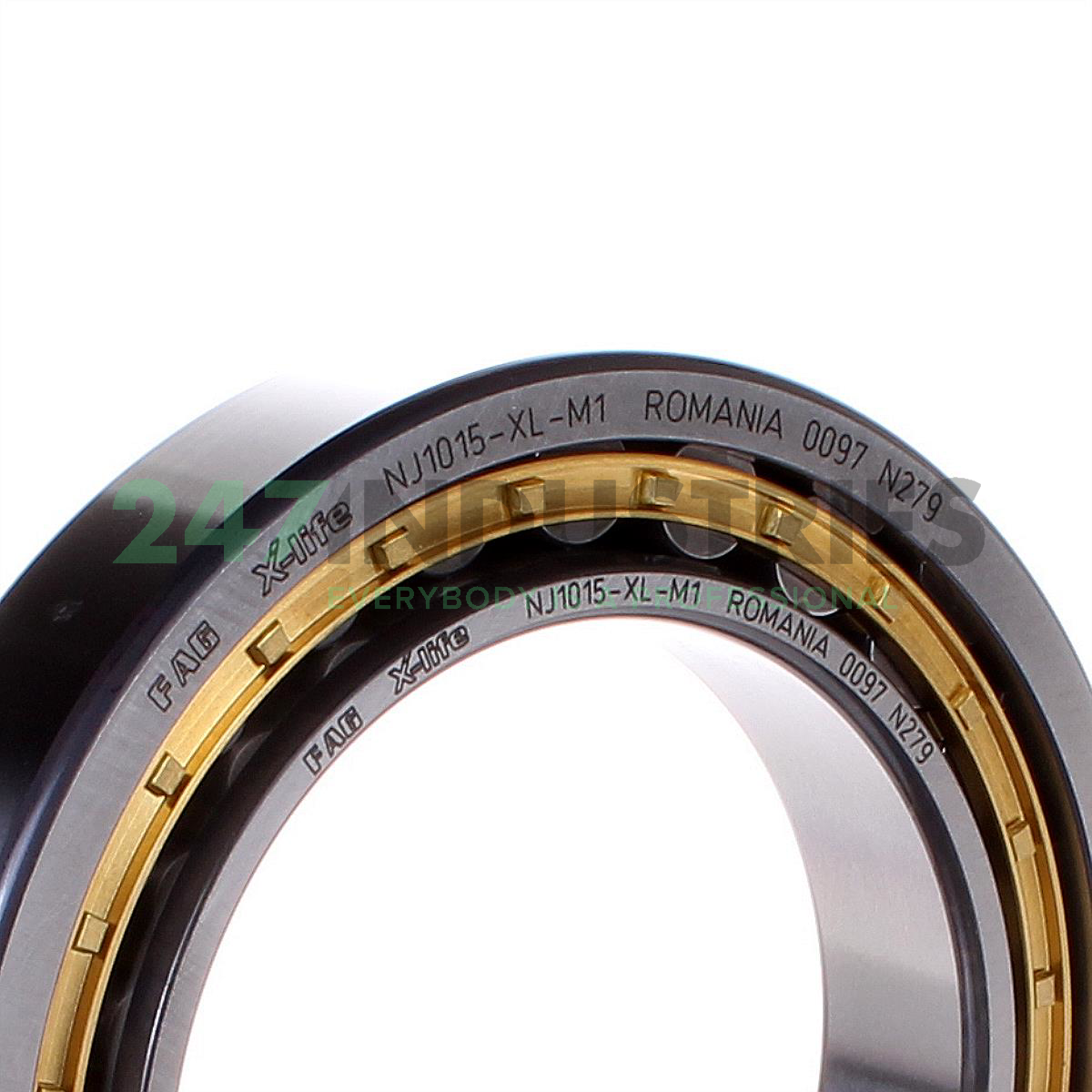 NJ1015-XL-M1 FAG Image 2