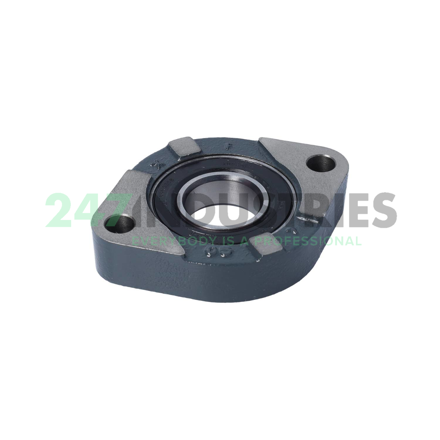 BLCTE30-XL INA Image 2