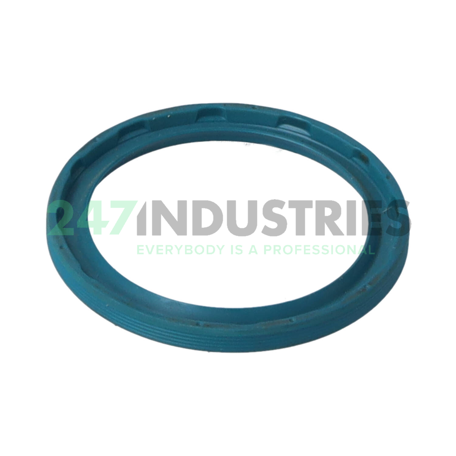 G38X48X4 INA Image 2