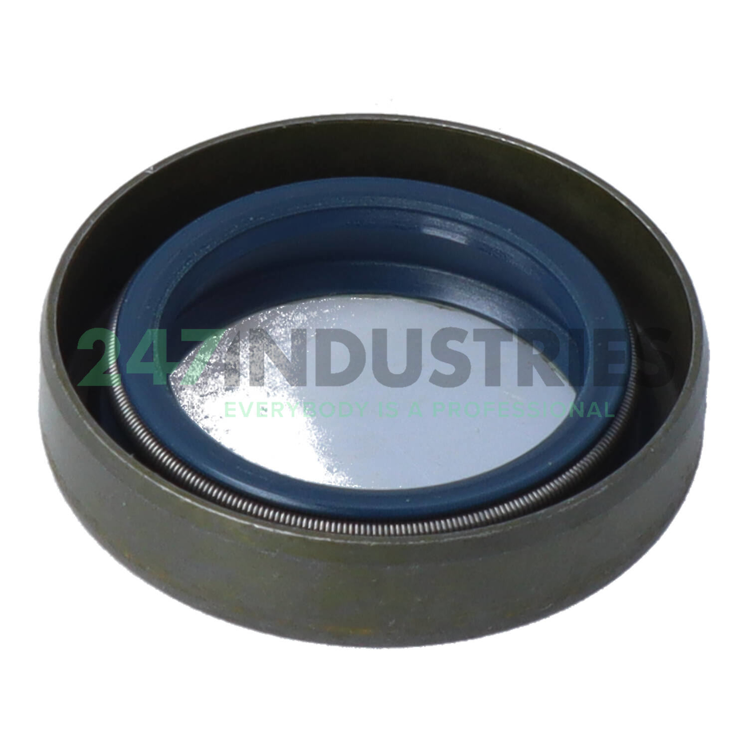 B1FUD2SL 20X30X7 Freudenberg Image 2