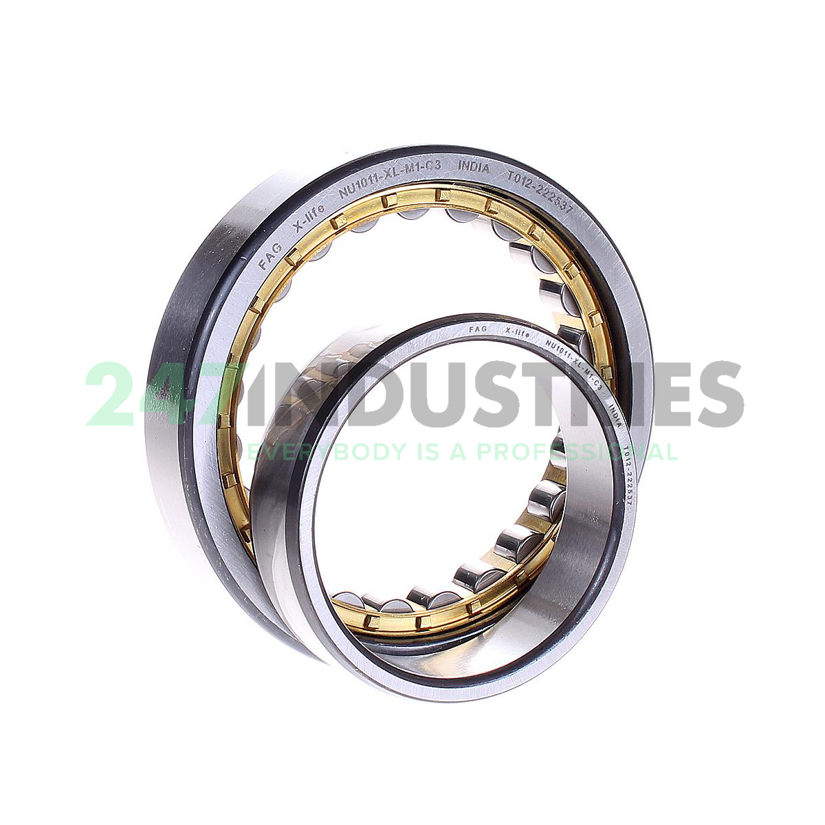 NU1011-XL-M1-C3 FAG Image 2