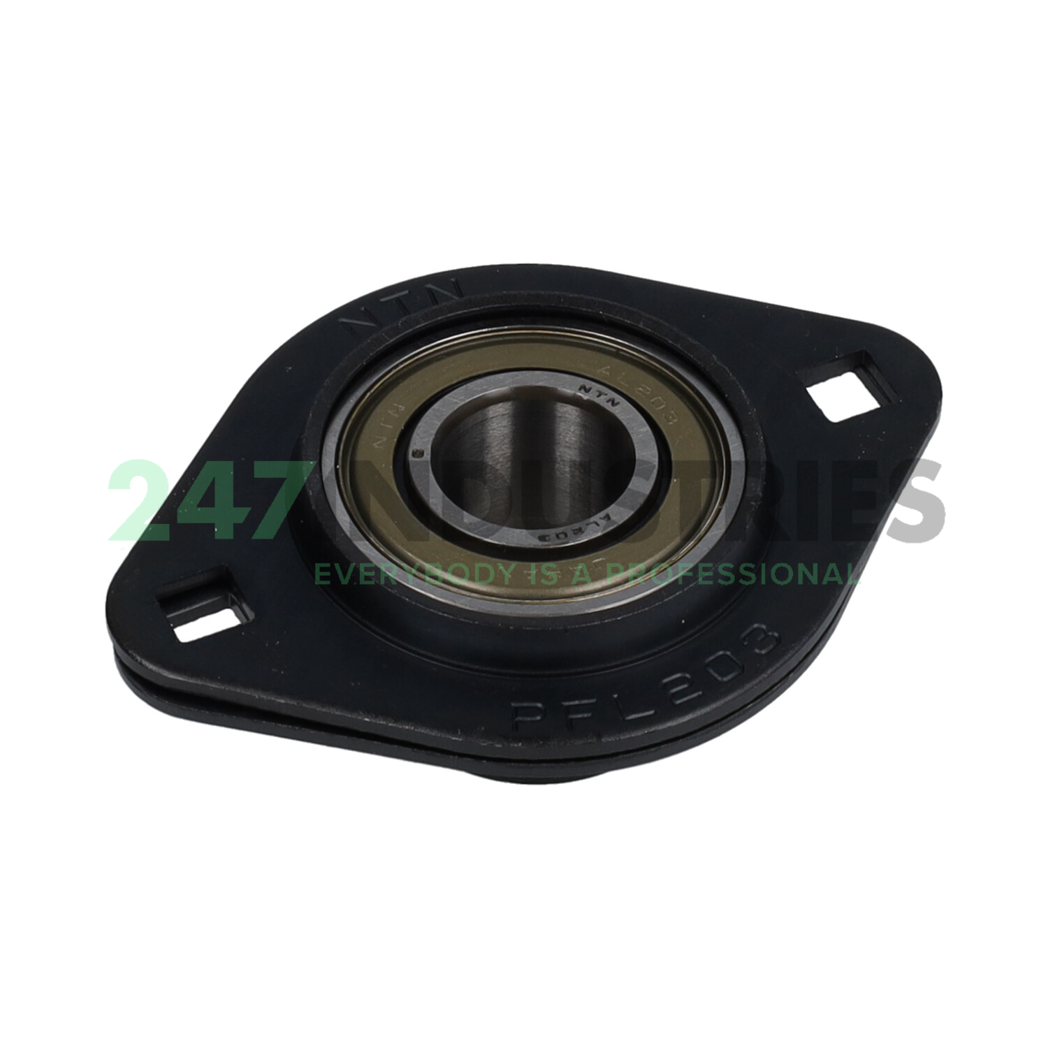 AELPFL203W3 NTN Image 2