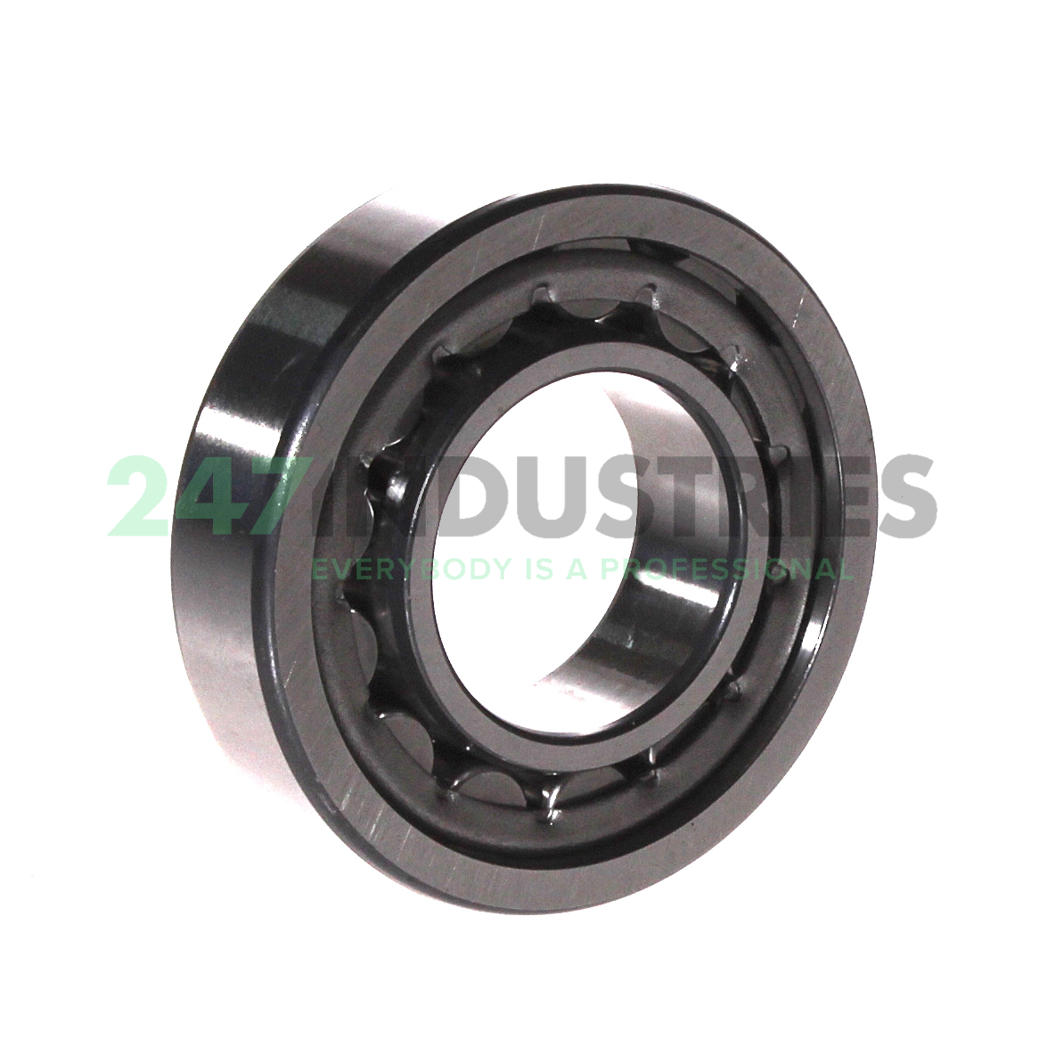 NU206-E-XL-JP1 FAG Image 2