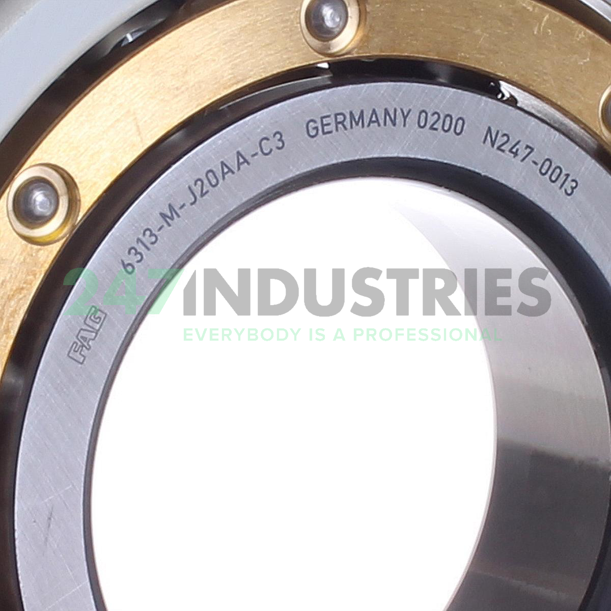 6313-M-J20AA-C3 FAG Image 2