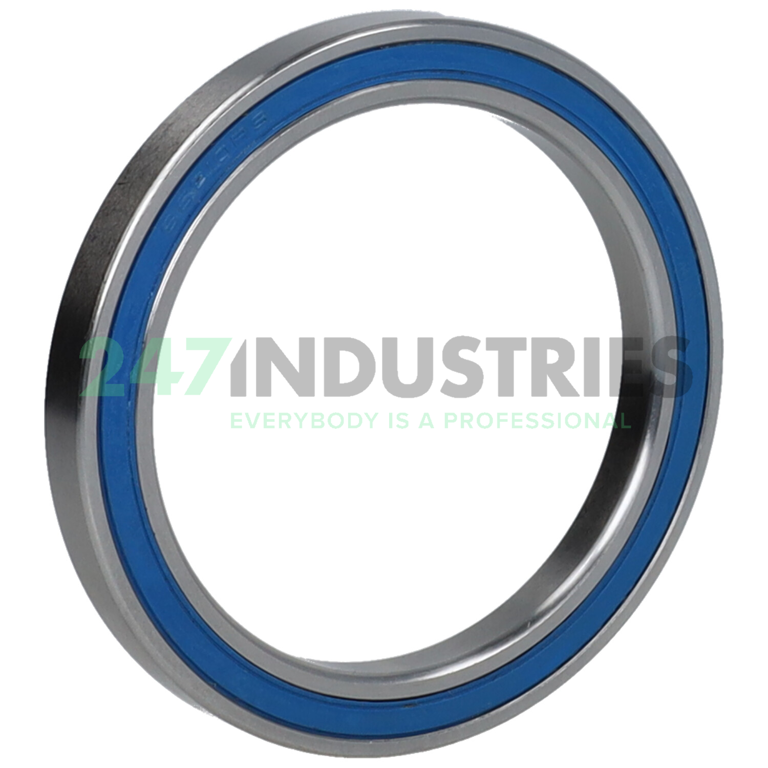 61810-2RS BGR Image 2