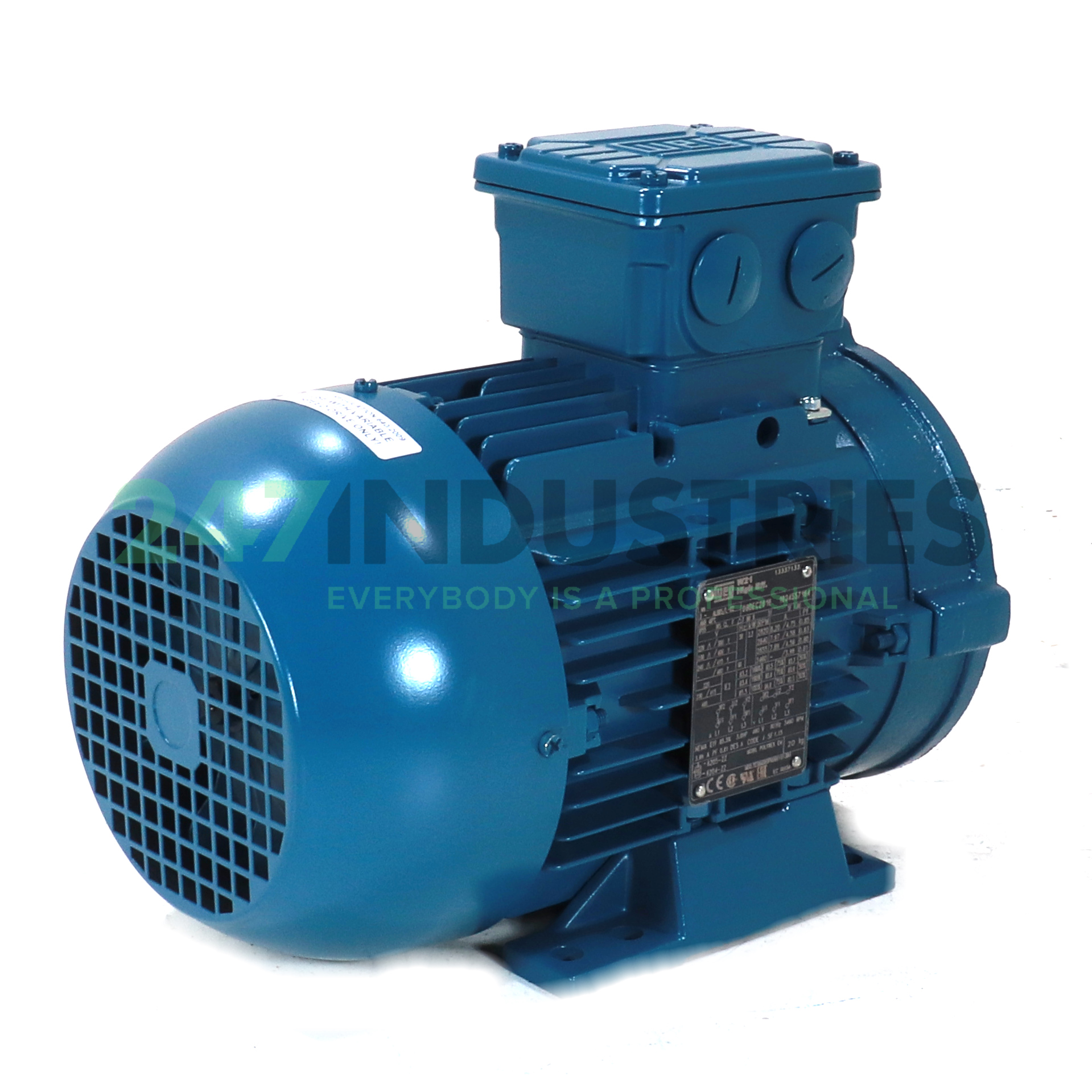 2.2K31AL290S2B34 WEG Image 3