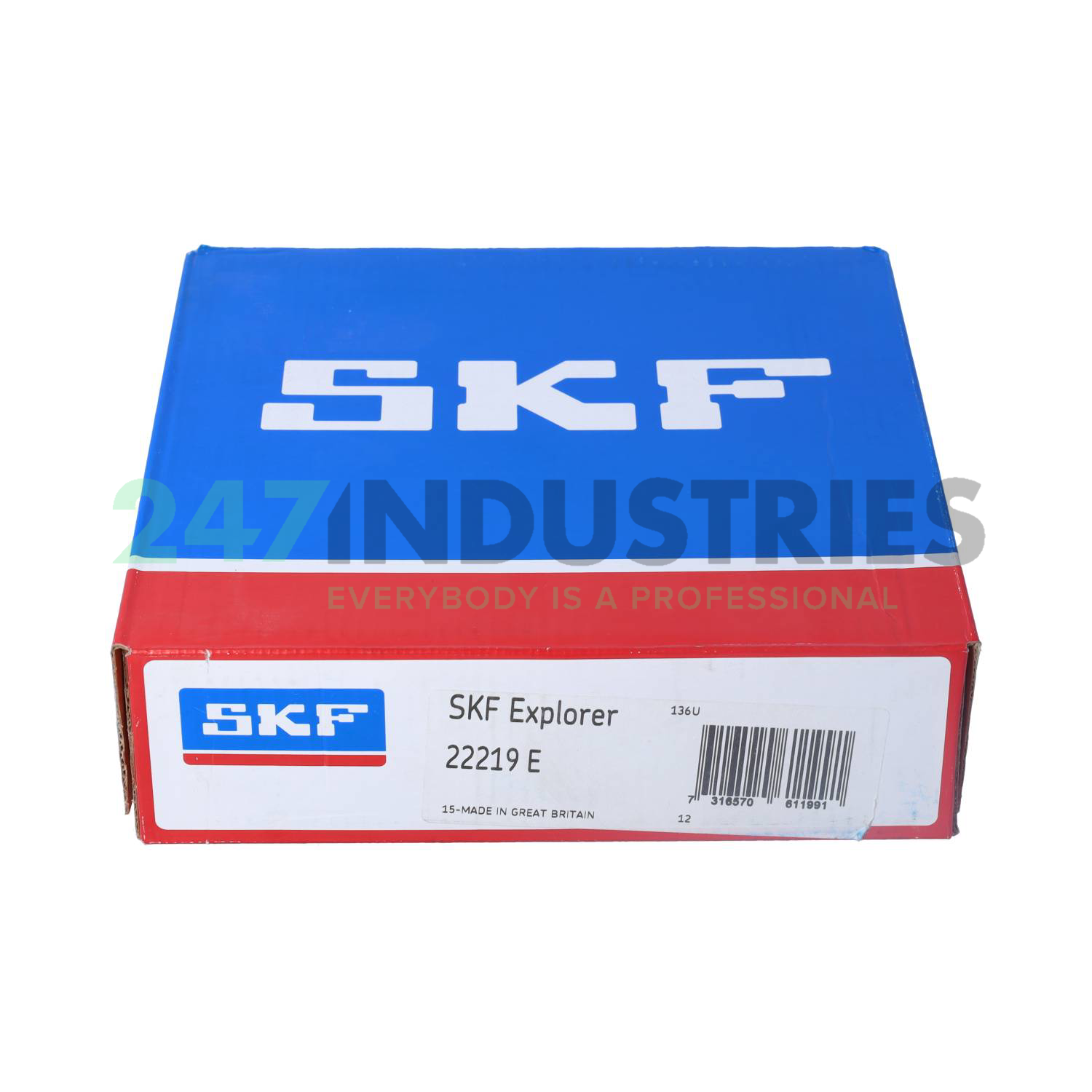 22219E SKF Image 4