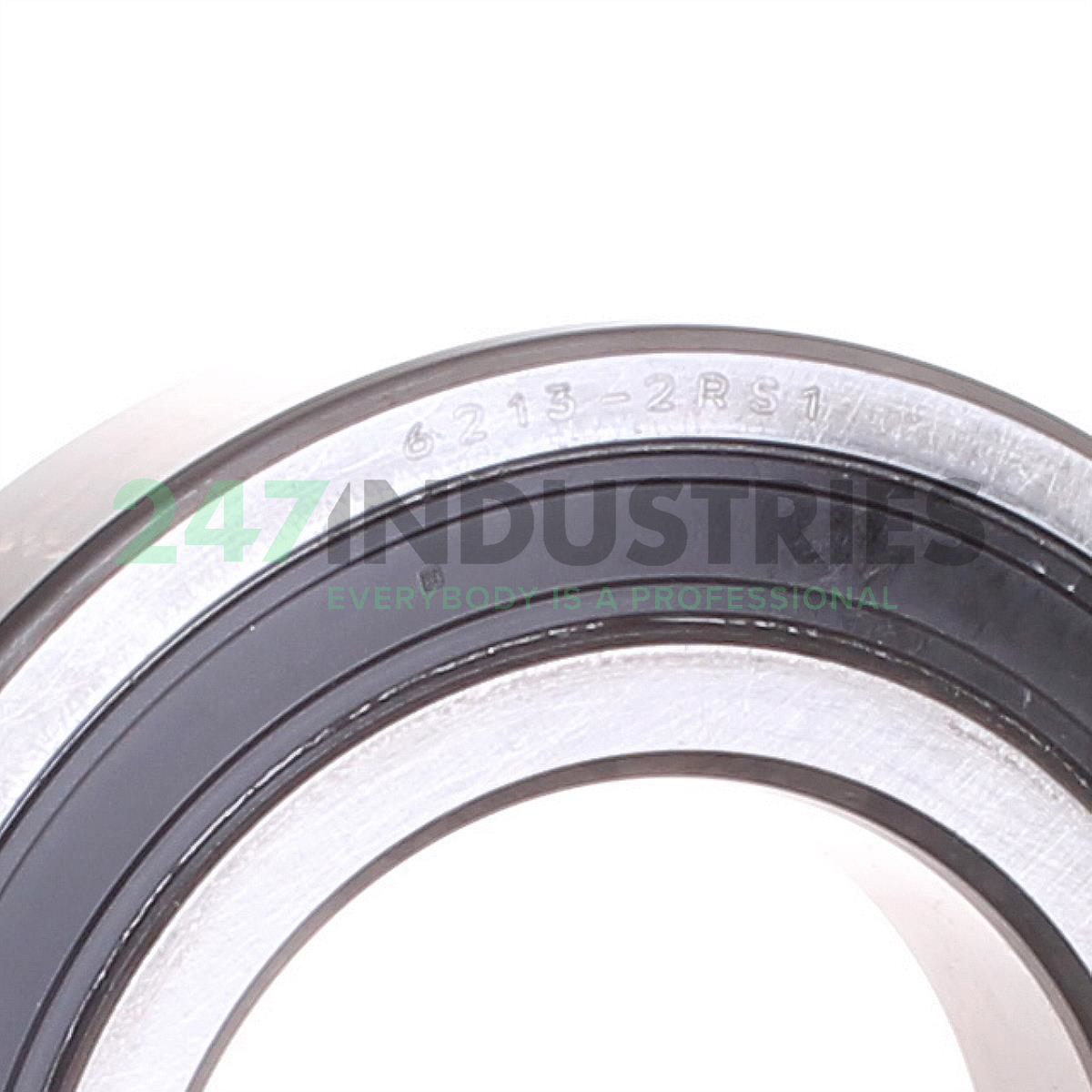 6213-2RS1 SKF Image 2