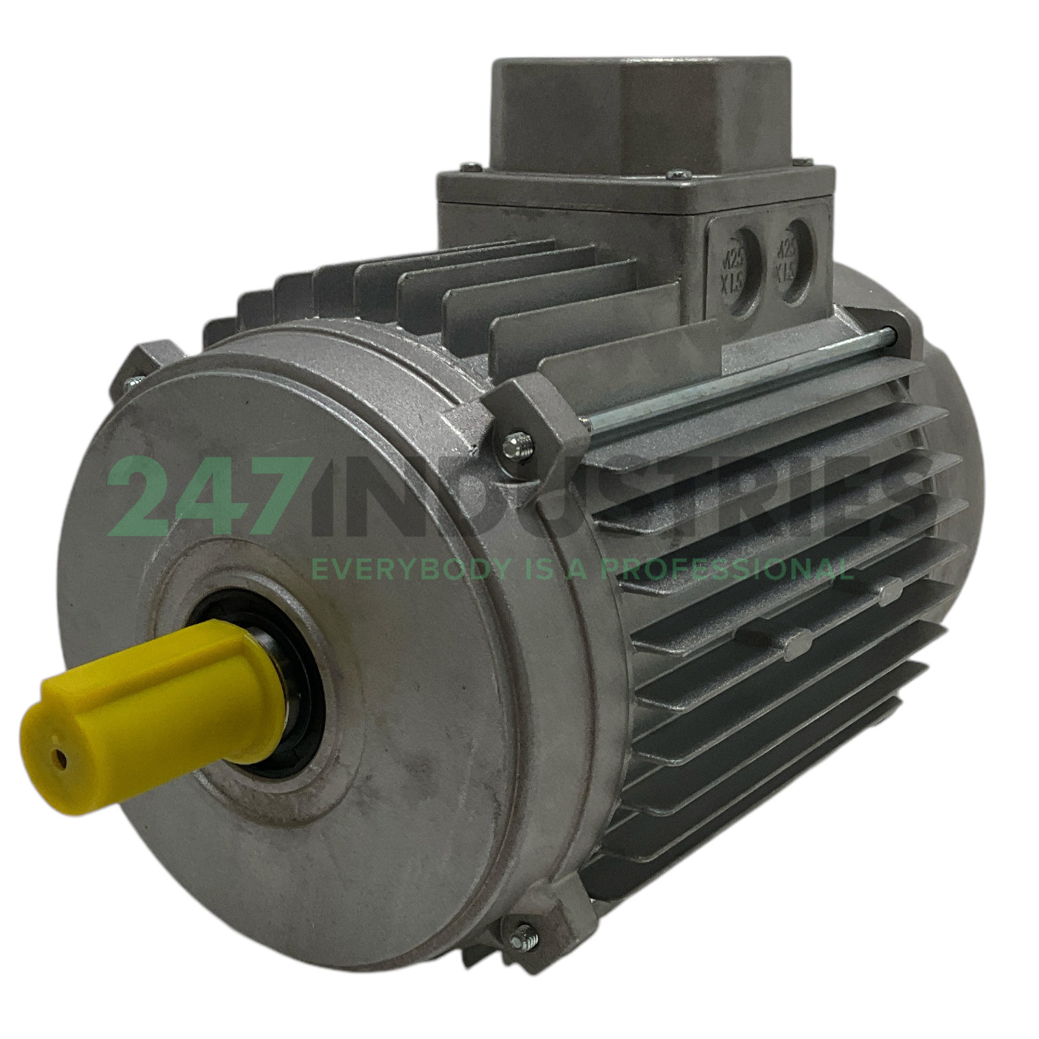 MT100-A8 Elmor Motor Image 1