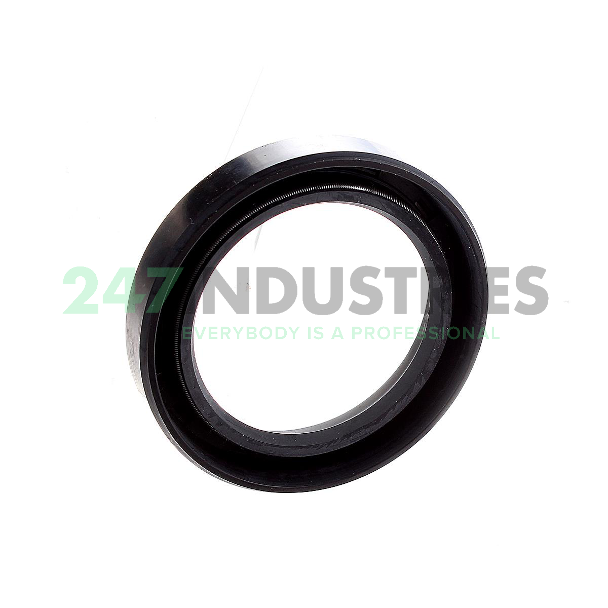 38X54X10HMS4R SKF Image 2