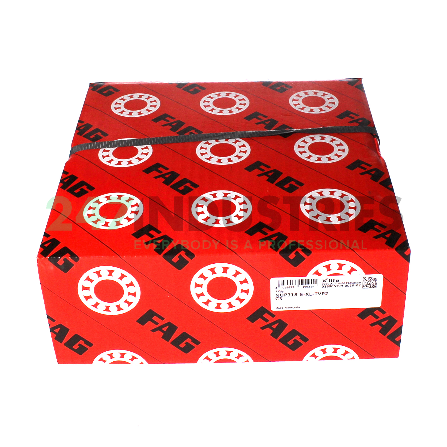 NUP318-E-XL-TVP2-C3 FAG Image 4