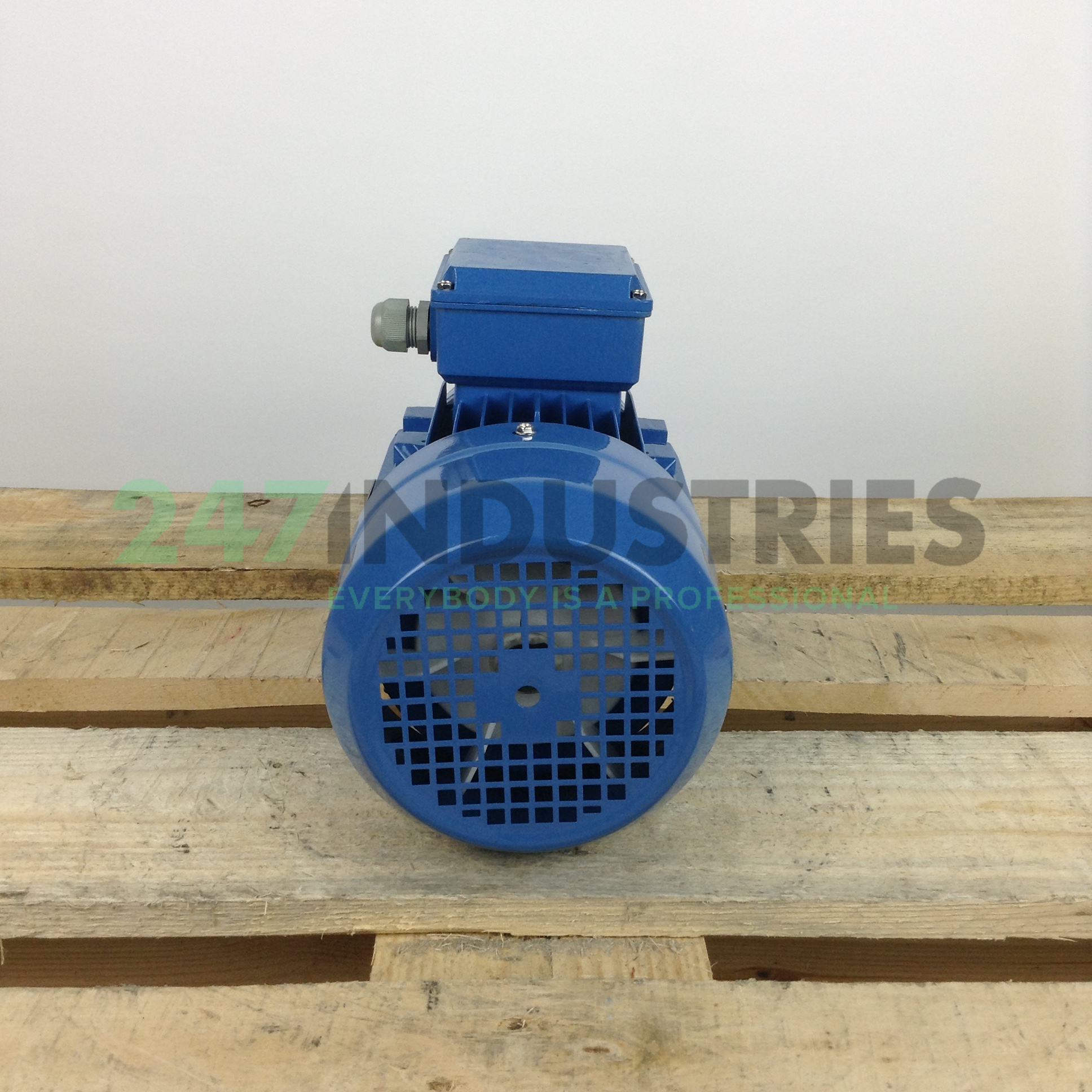 MS90L-4B14 Gibbons Image 5