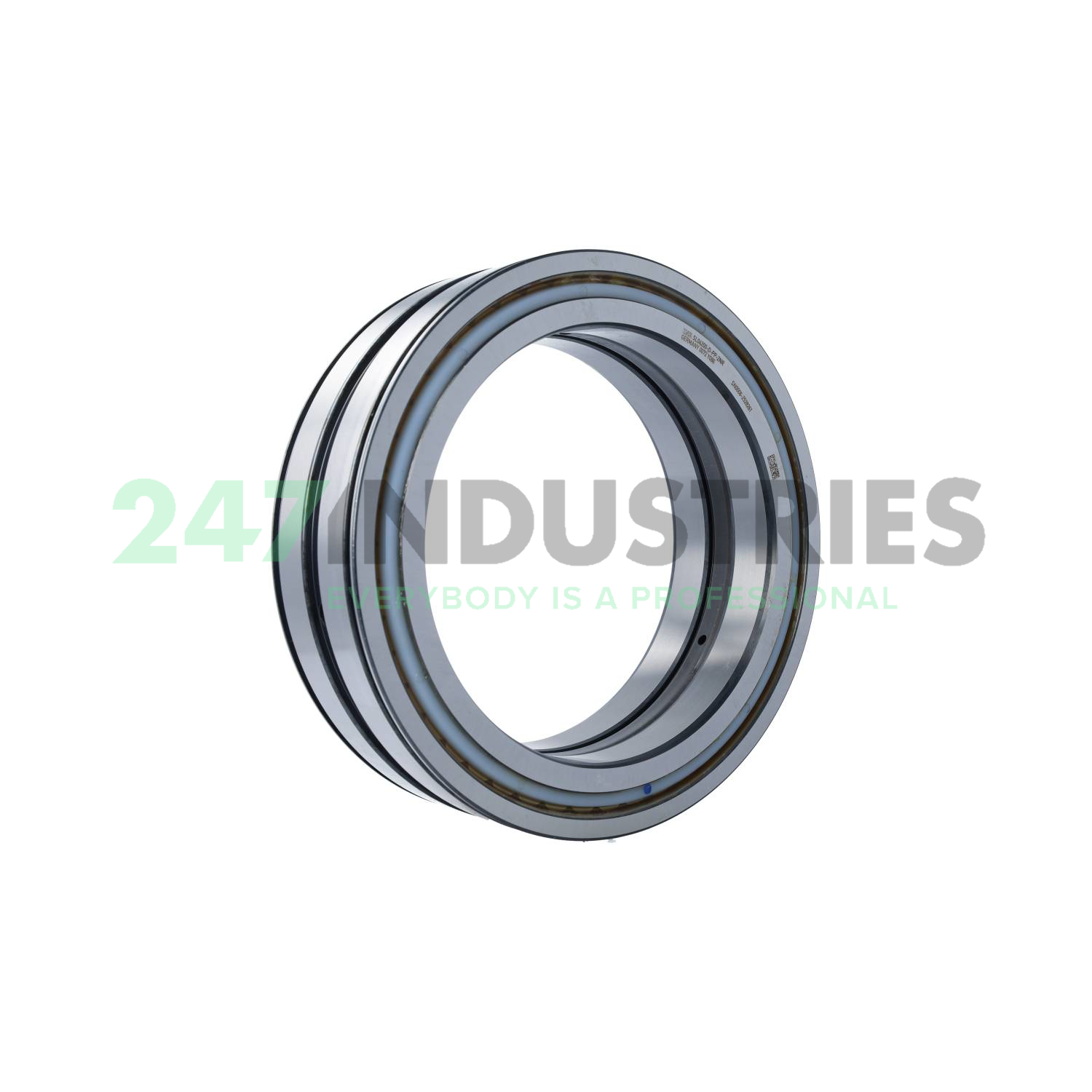 SL04200-D-PP-2NR INA