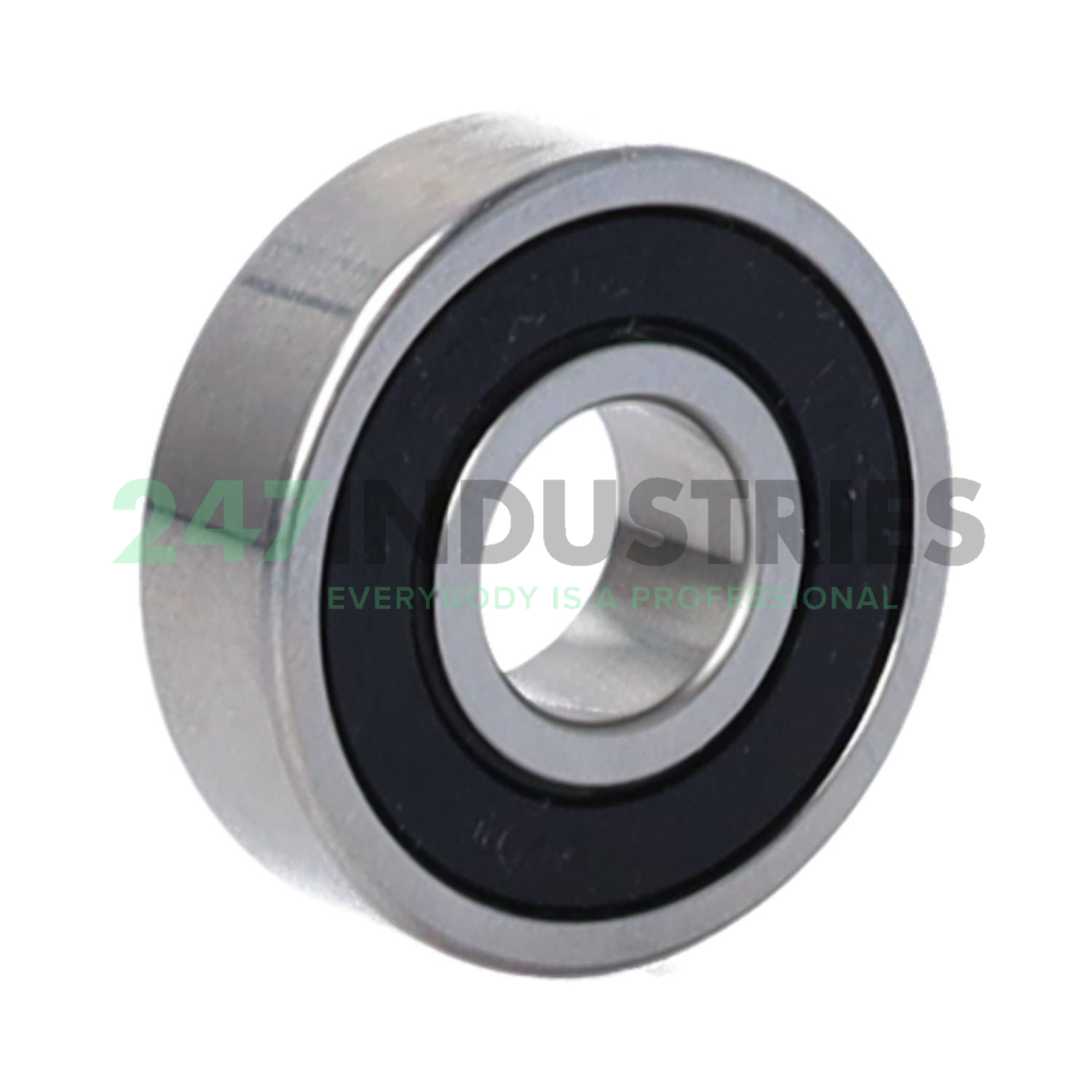 6000H 2RS SRL EZO Image 2