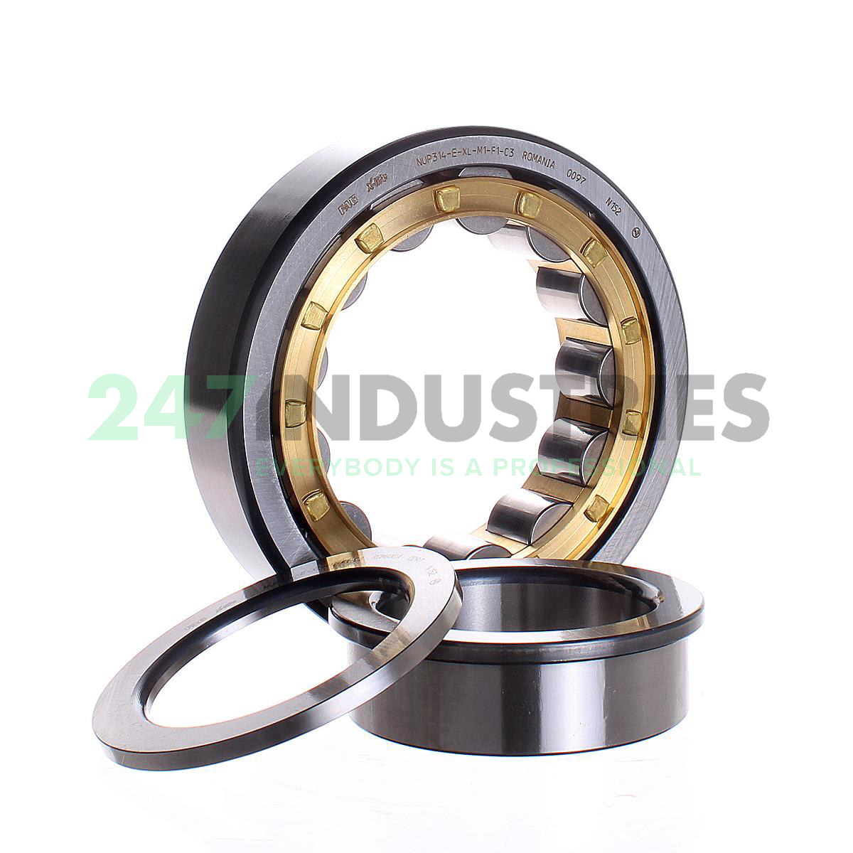 NUP314-E-XL-M1-F1-C3 FAG Image 3