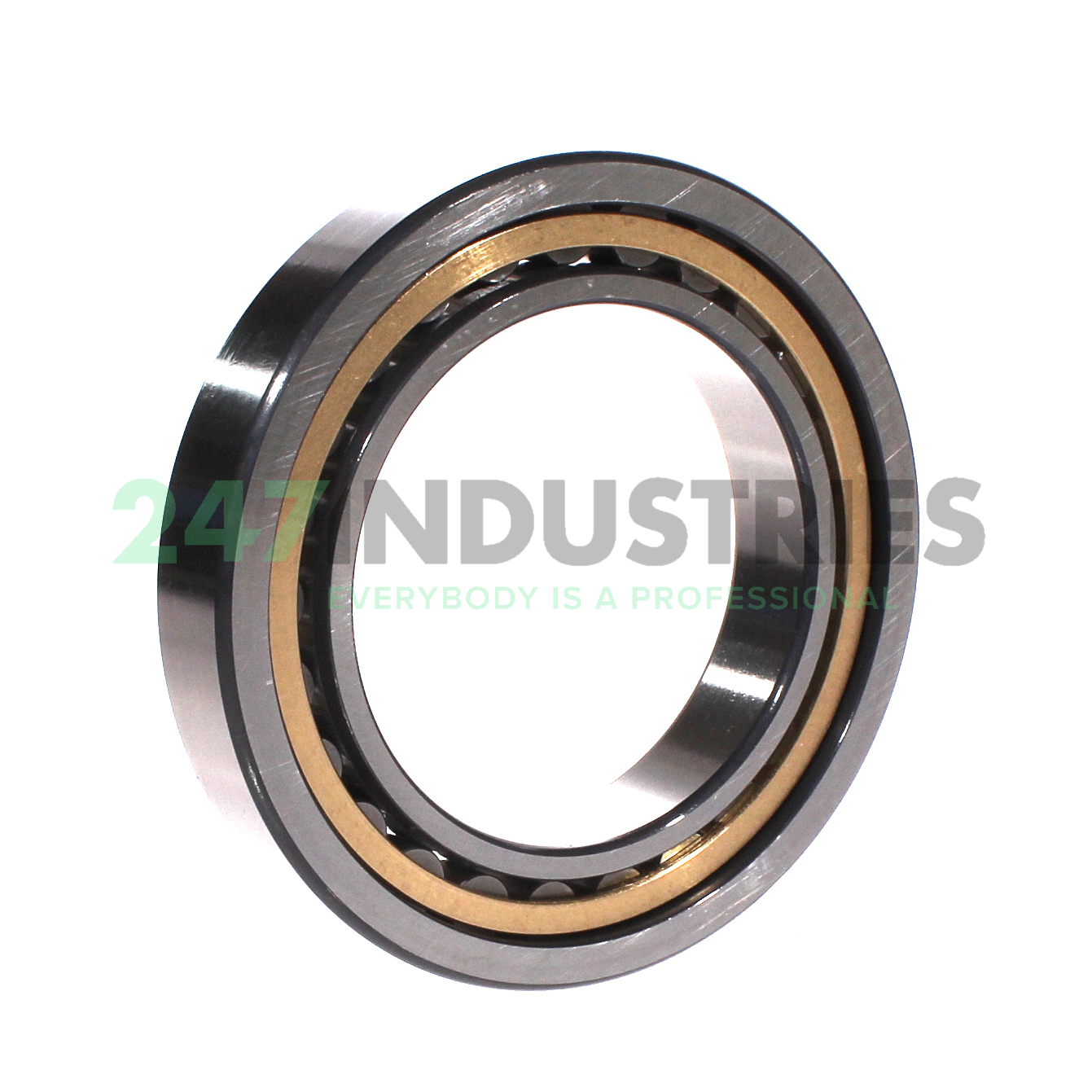 NU1018-XL-M1-F1-C4 FAG Image 4