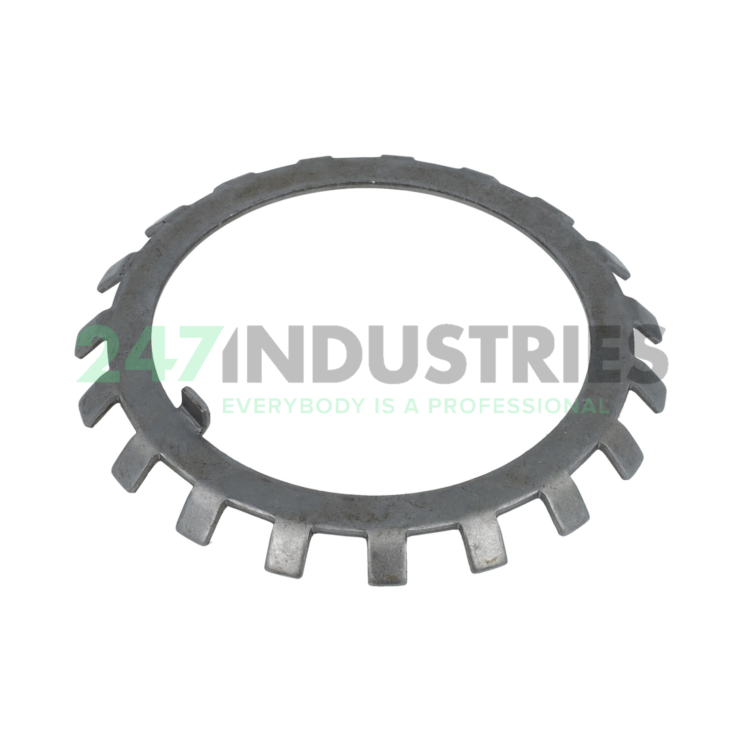 W19 Whittet-Higgins Image 2