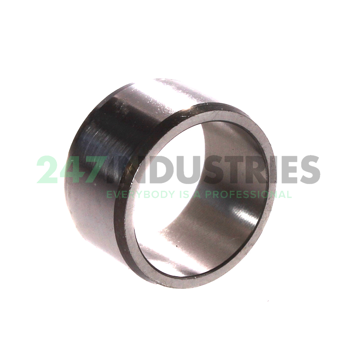 IR25X30X17 SKF Image 2