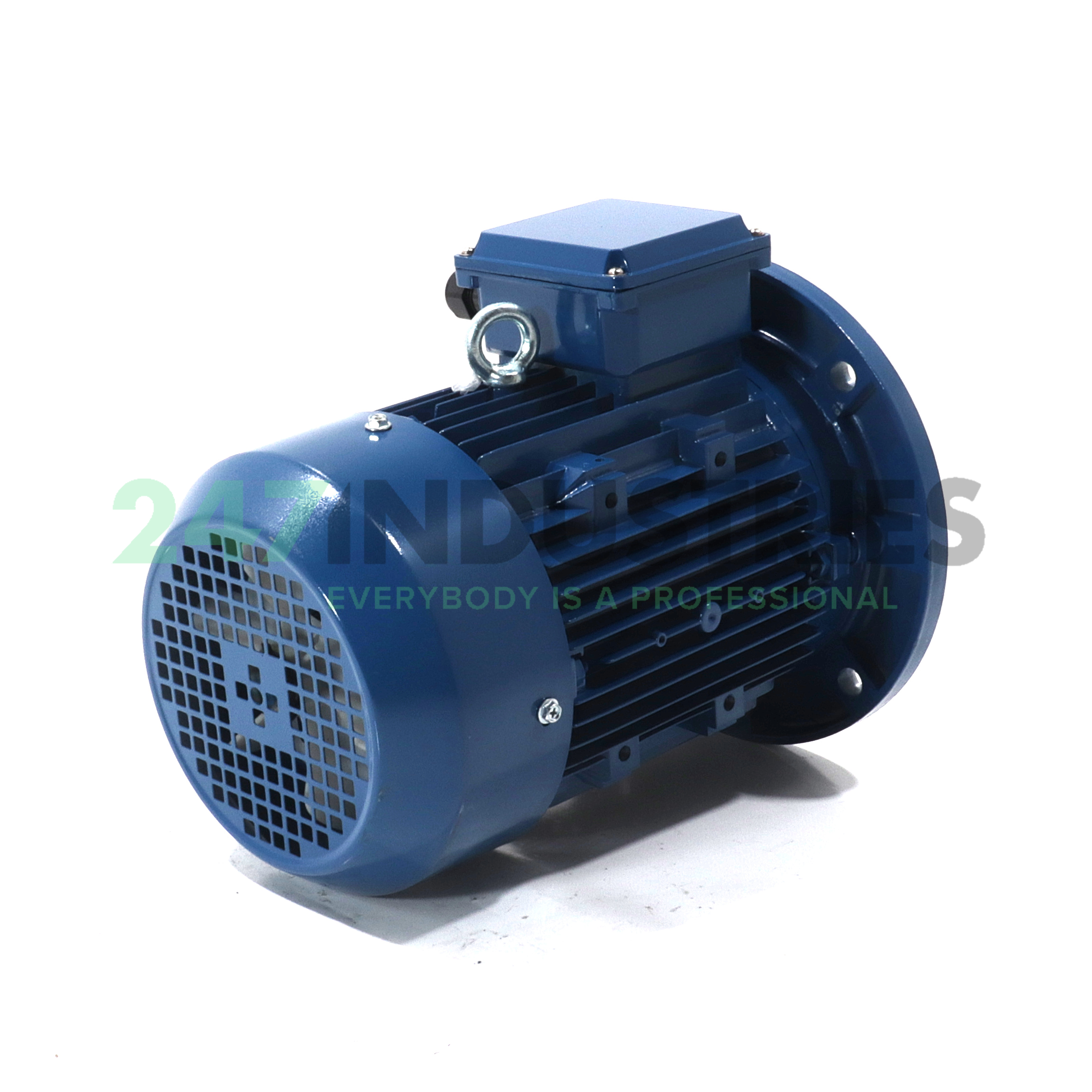 TSHE100L1-4-B5 CMW Image 3