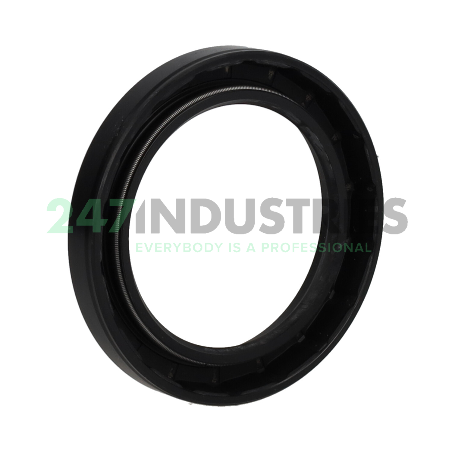 SC51X72X10 NAK Sealing Technologies Image 2