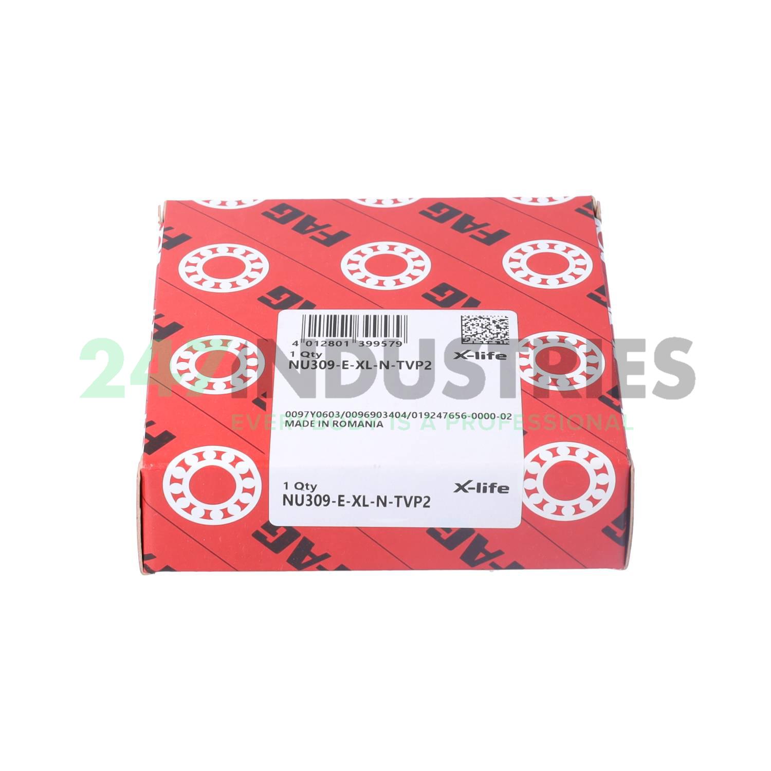 NU309-E-XL-N-TVP2 FAG Image 4