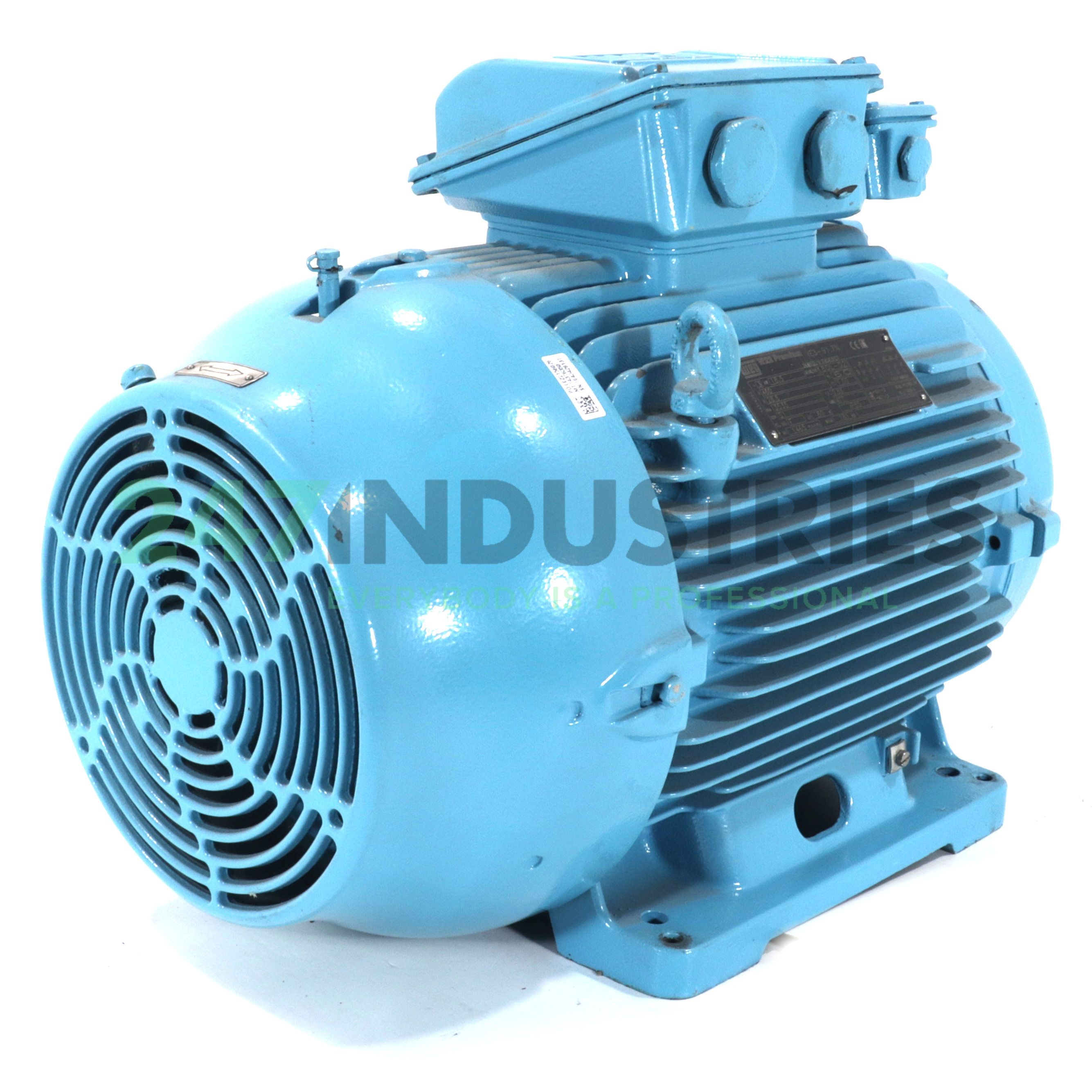 18.5K32CI3180L2B3 WEG Image 3