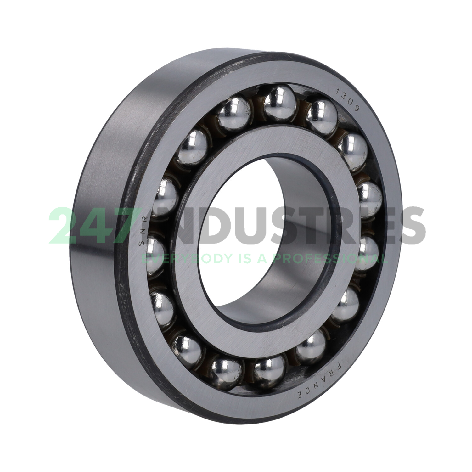 1309G15 SNR Image 1