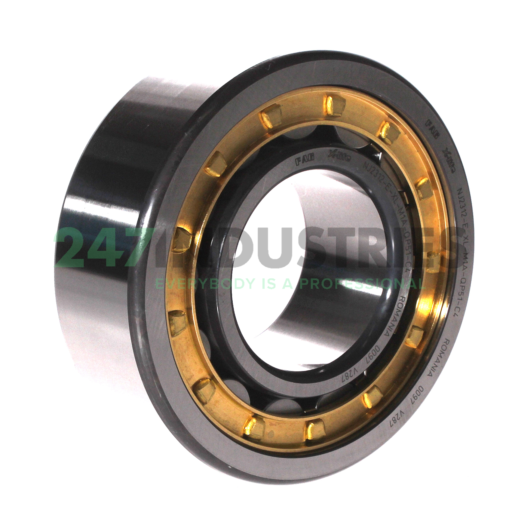 NJ2312-E-XL-M1A-QP51-C4 FAG