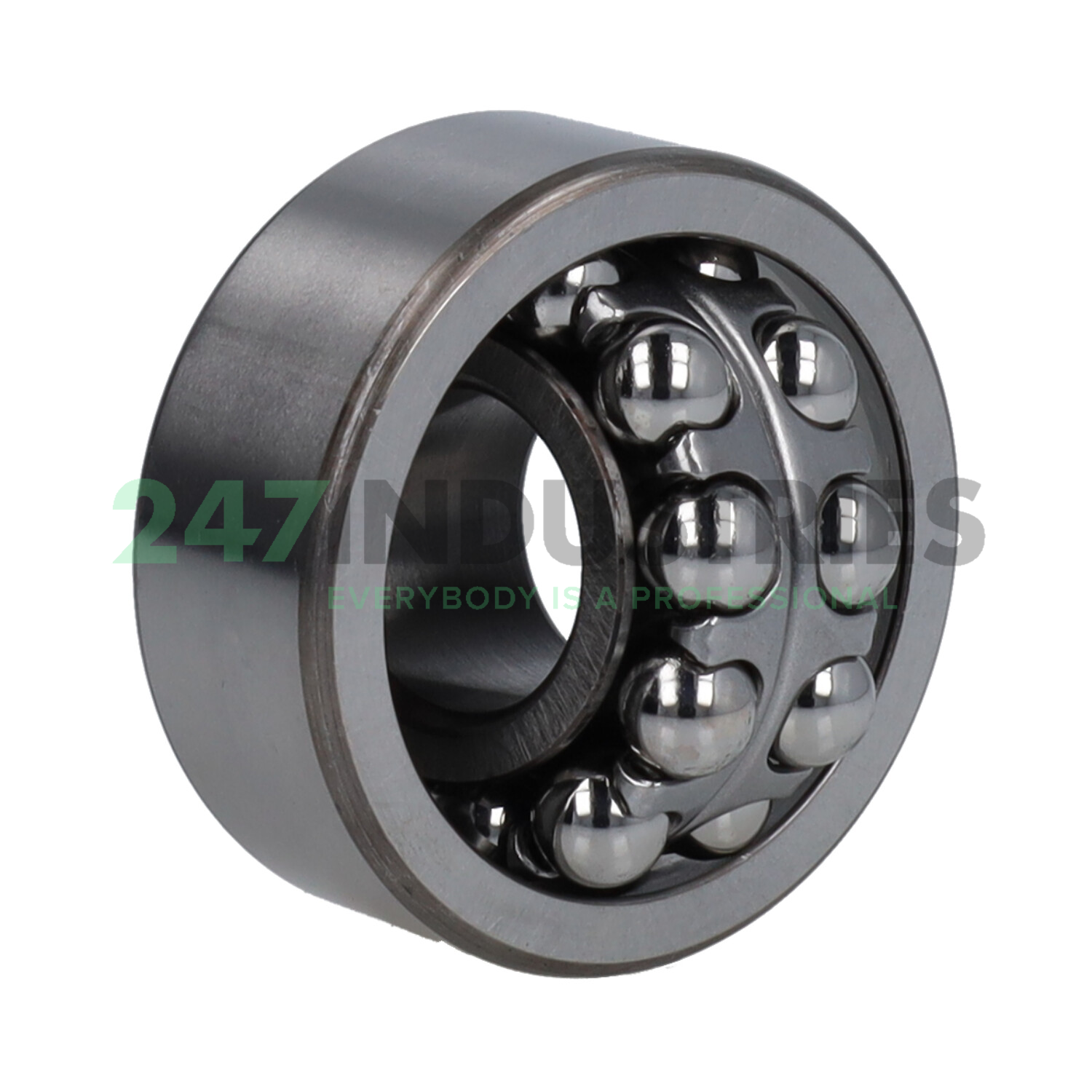 2304J SLF Fraureuth Image 3