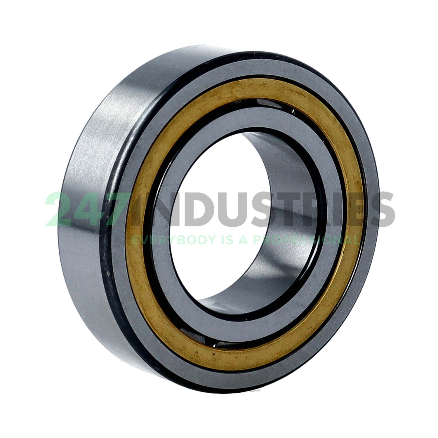 NJ2209-E-XL-MPAX-C3 FAG Image 2