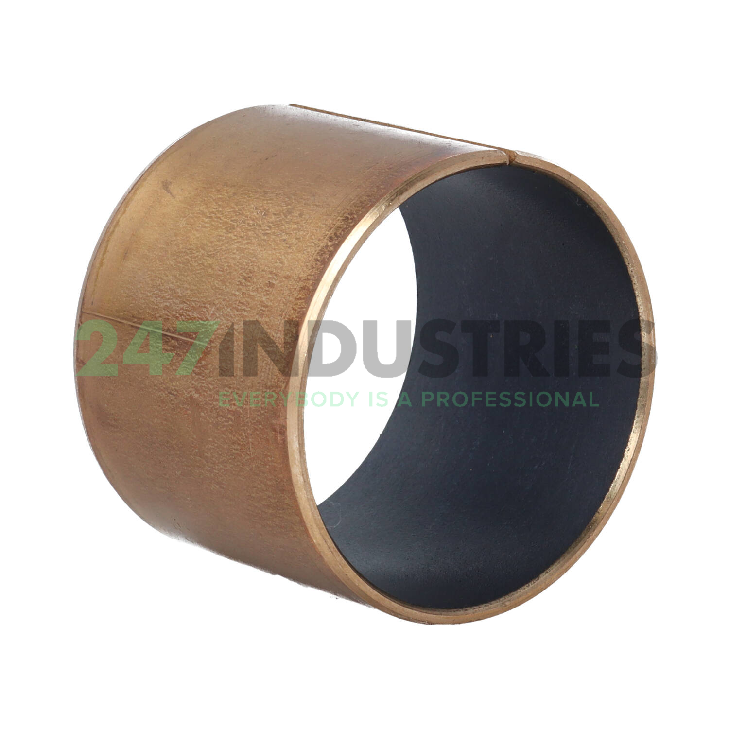 EGB6050-E40-B INA Image 3