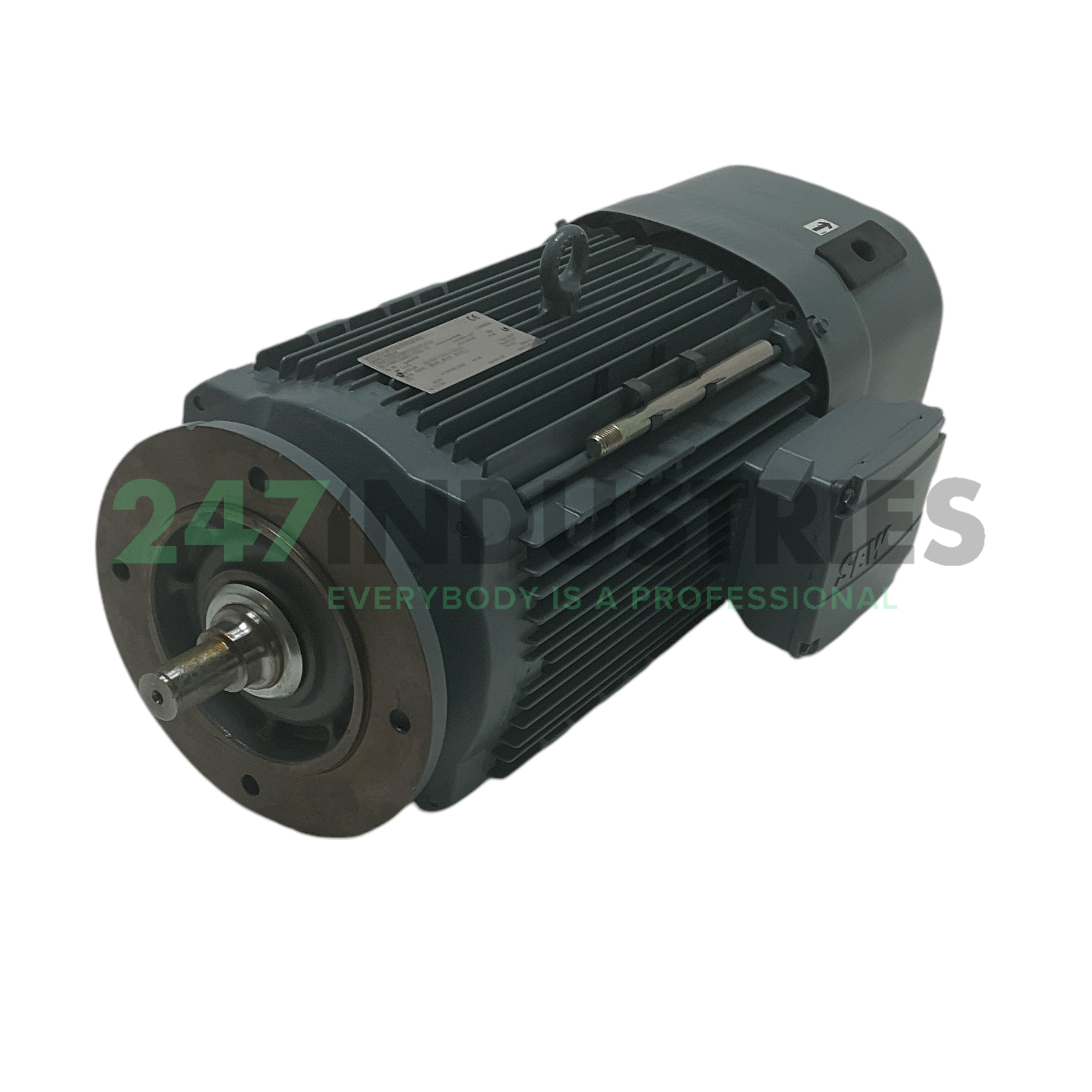 DRN132S2/BE11HR/FG/LN SEW-EURODRIVE