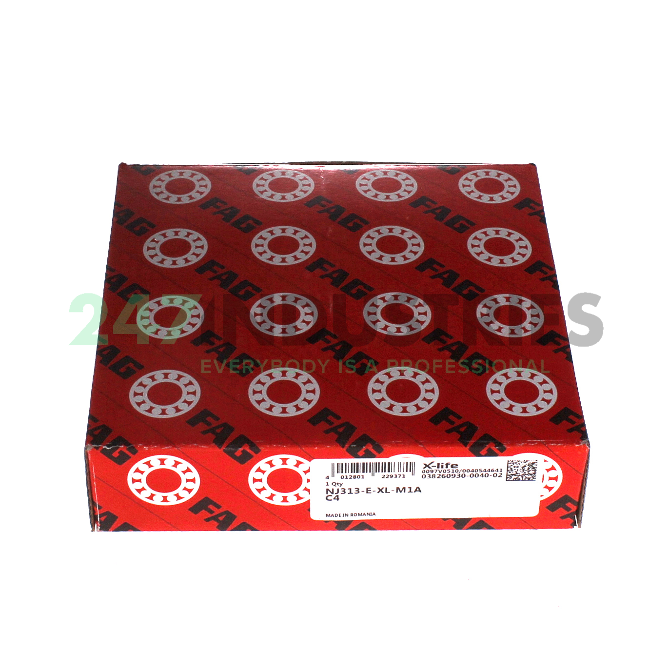 NJ313-E-XL-M1A-C4 FAG Image 4