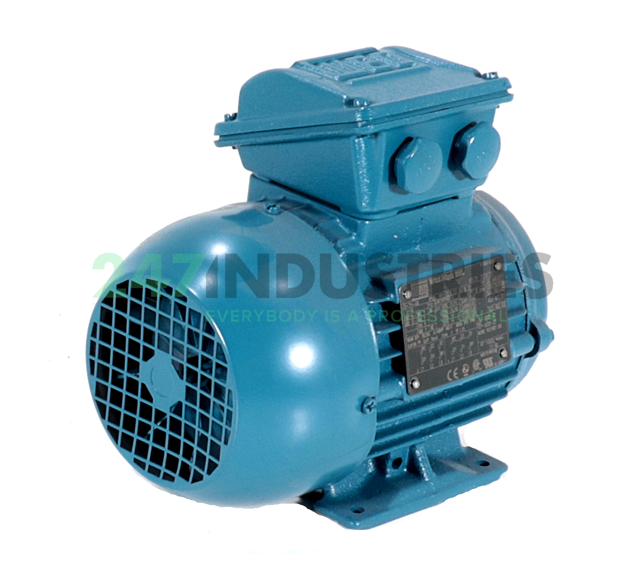 0.12K31CI2718B3 WEG Image 3