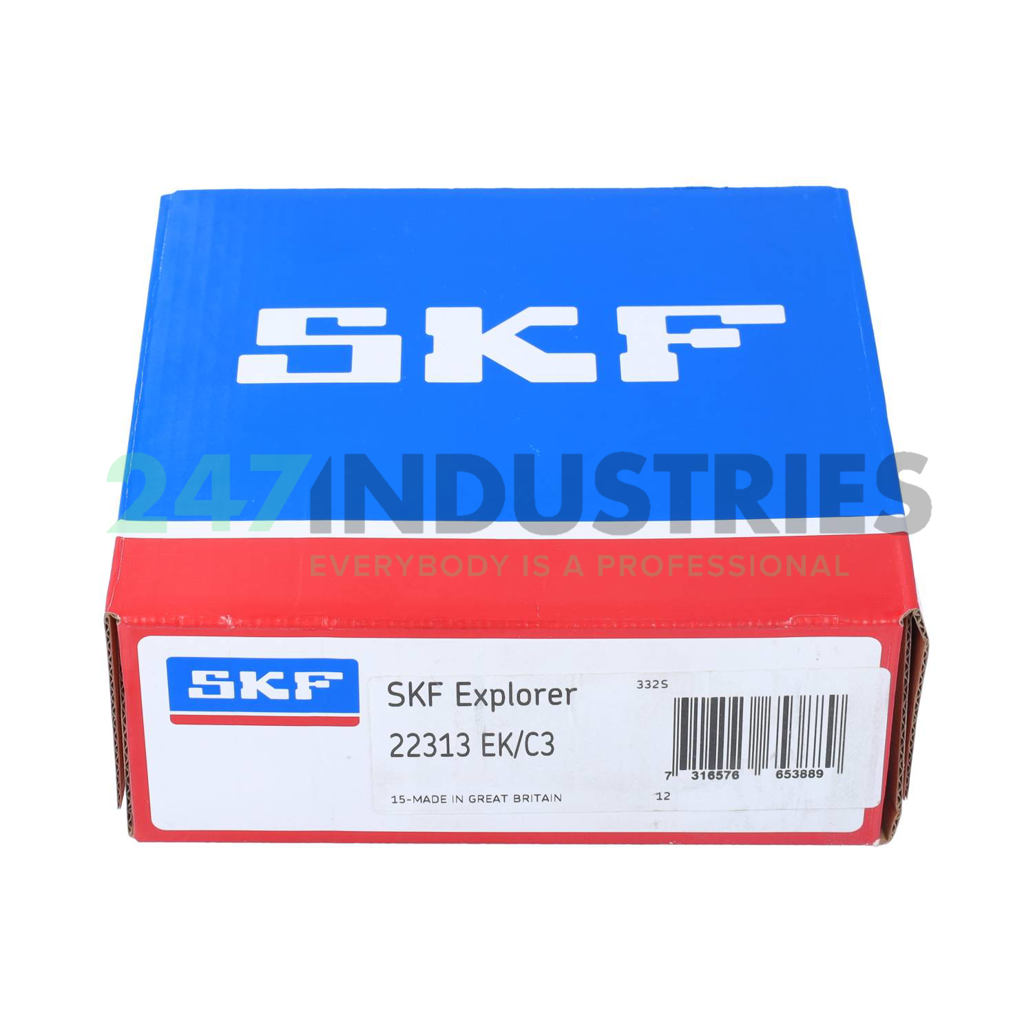 22313EK/C3 SKF Image 4