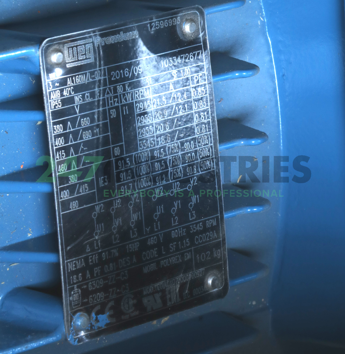 11K32AL3160M/L2B3 WEG Image 2