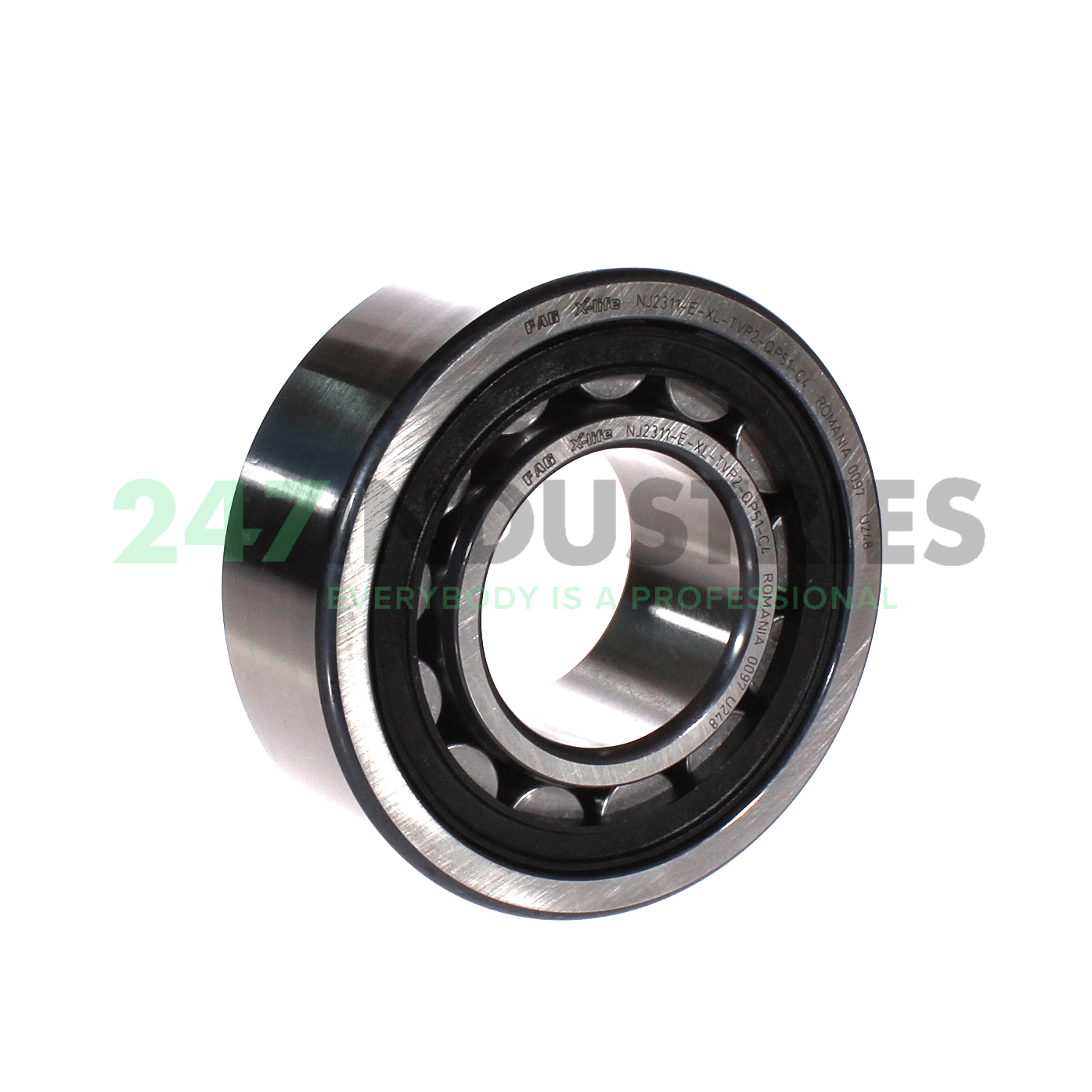 NJ2313-E-XL-TVP2-QP51-C4 FAG