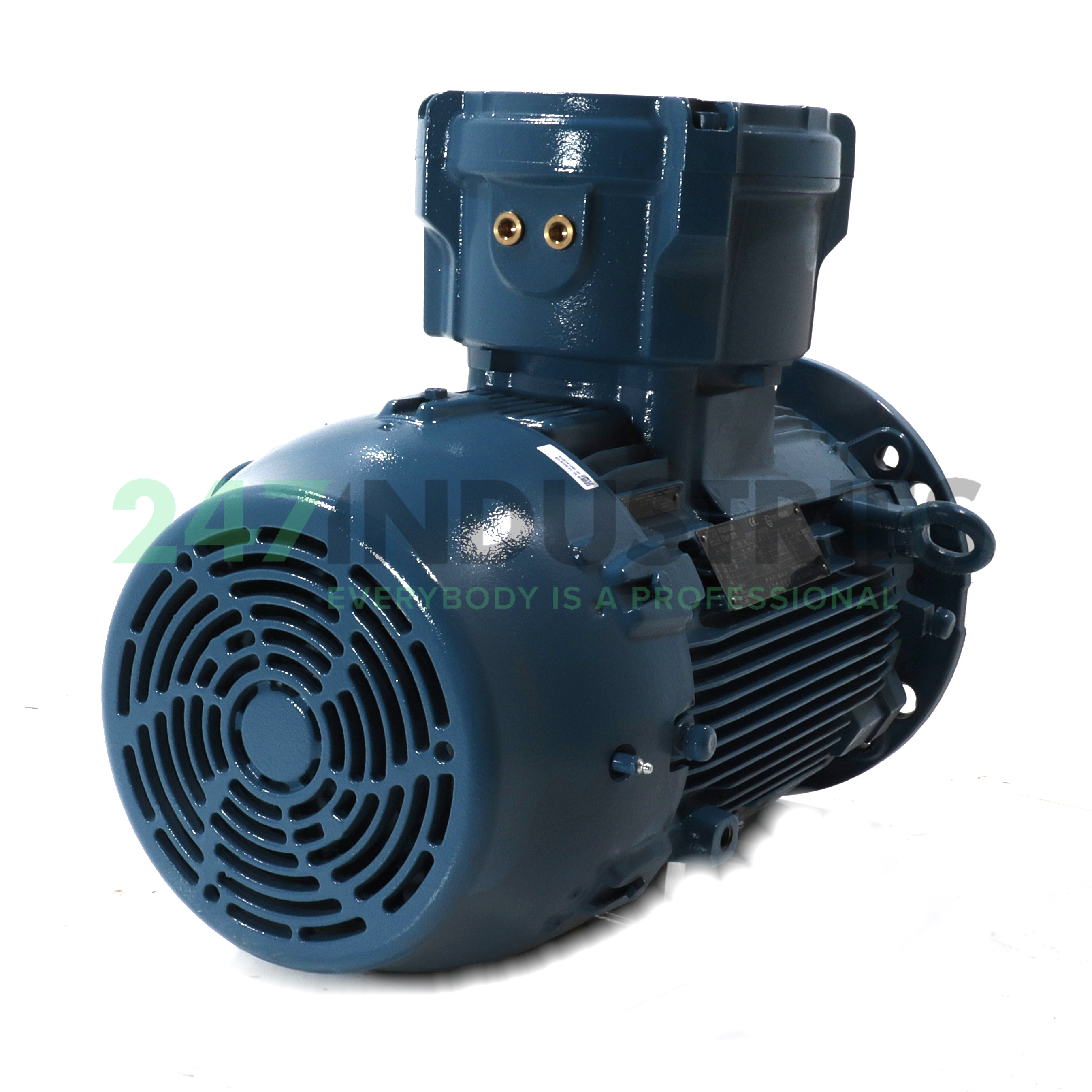 15K32CI2160M/L4B52G WEG Image 3