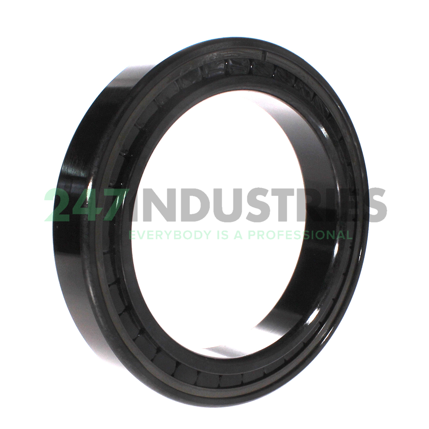 SL182930-B-XL-BR-C3 INA Image 2