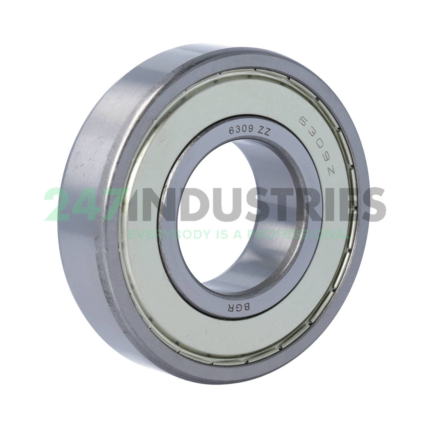 6309ZZ BGR