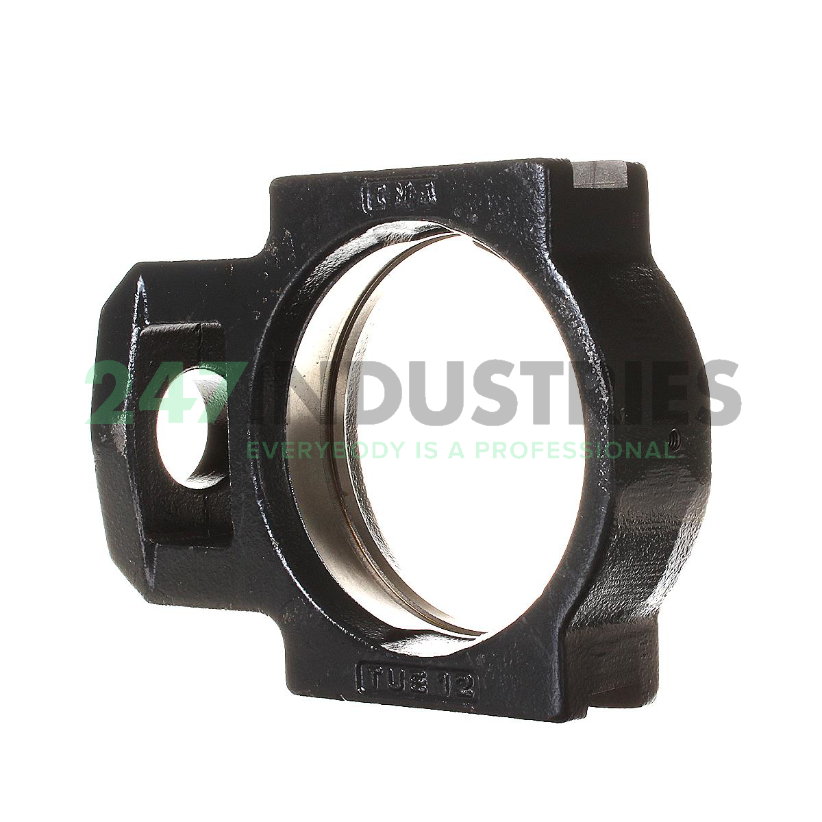 GG.TUE12 INA Image 2