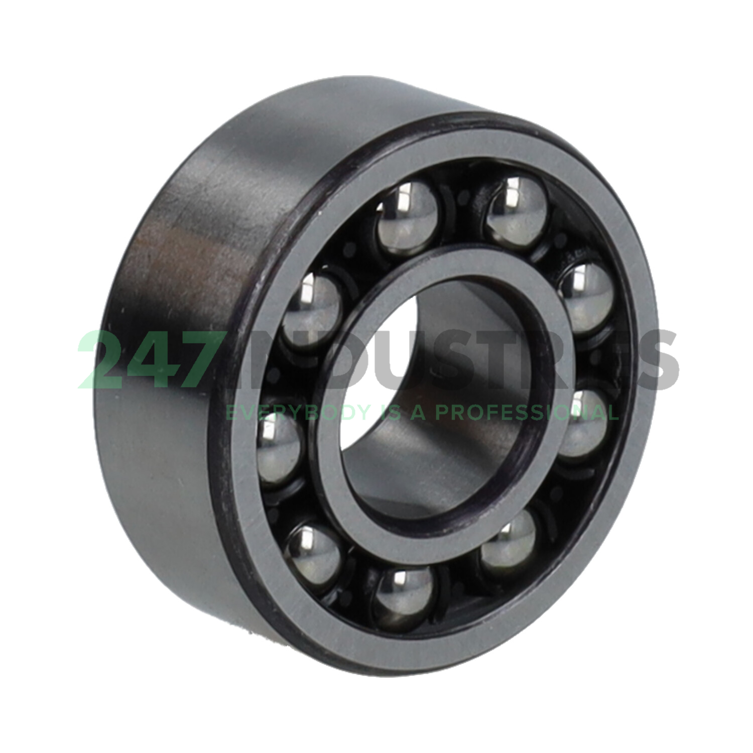 2202ETNG NSK Image 2