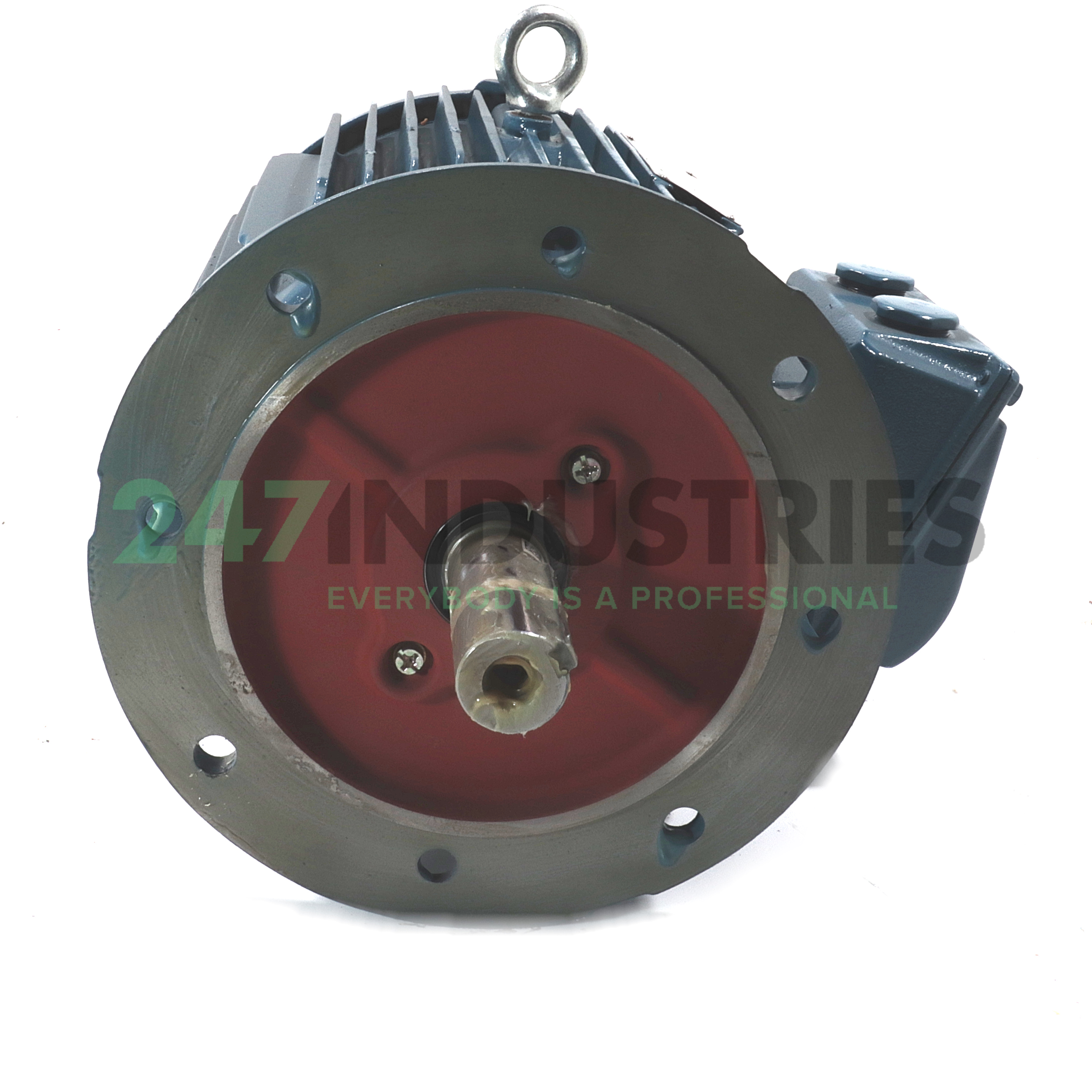 15K32CI2160L4B5 WEG Image 2