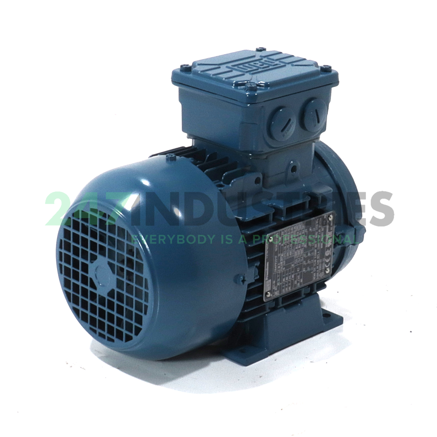 0.25K31AL3714B3 WEG Image 3