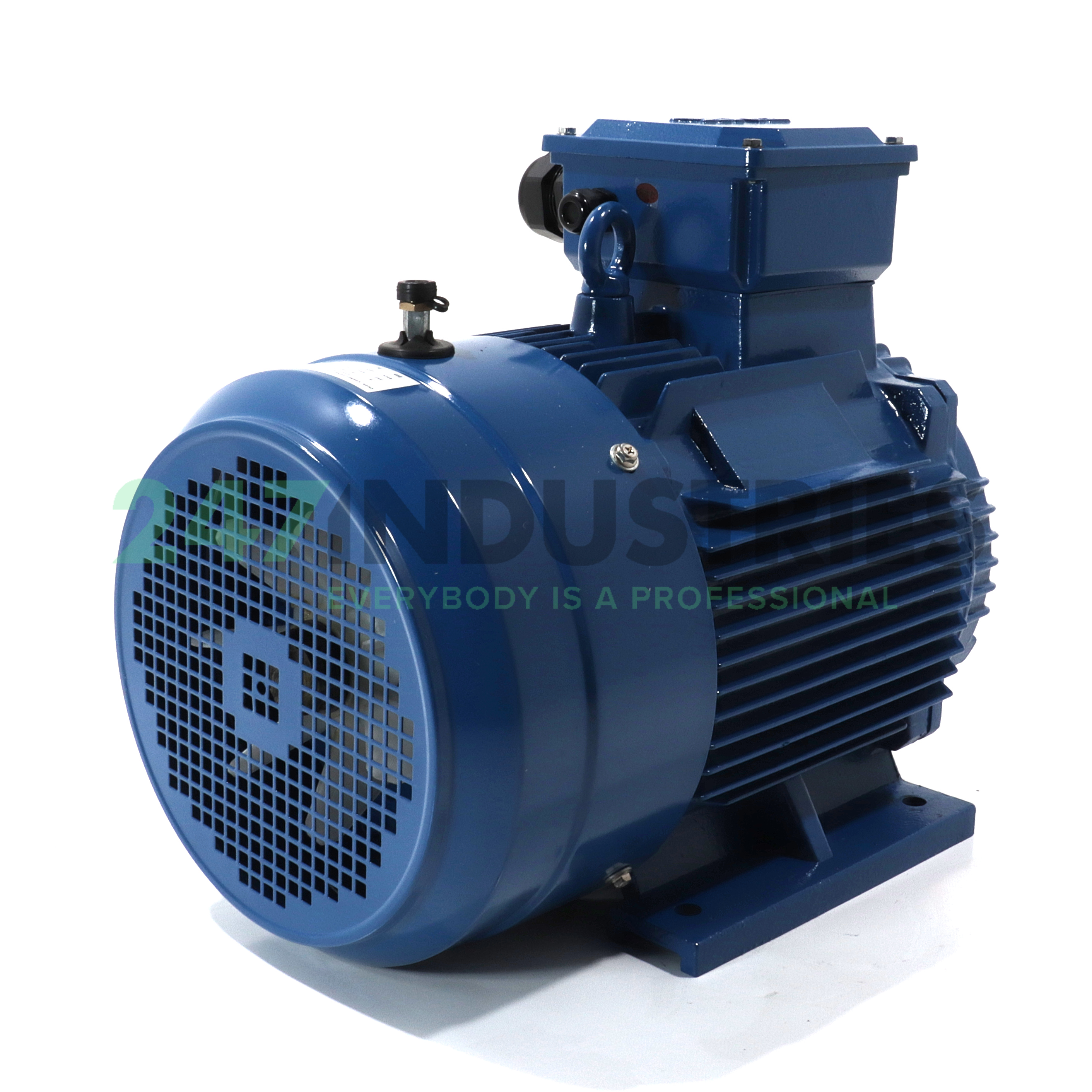 KAE2G160M-4B3E3K EMK Image 3