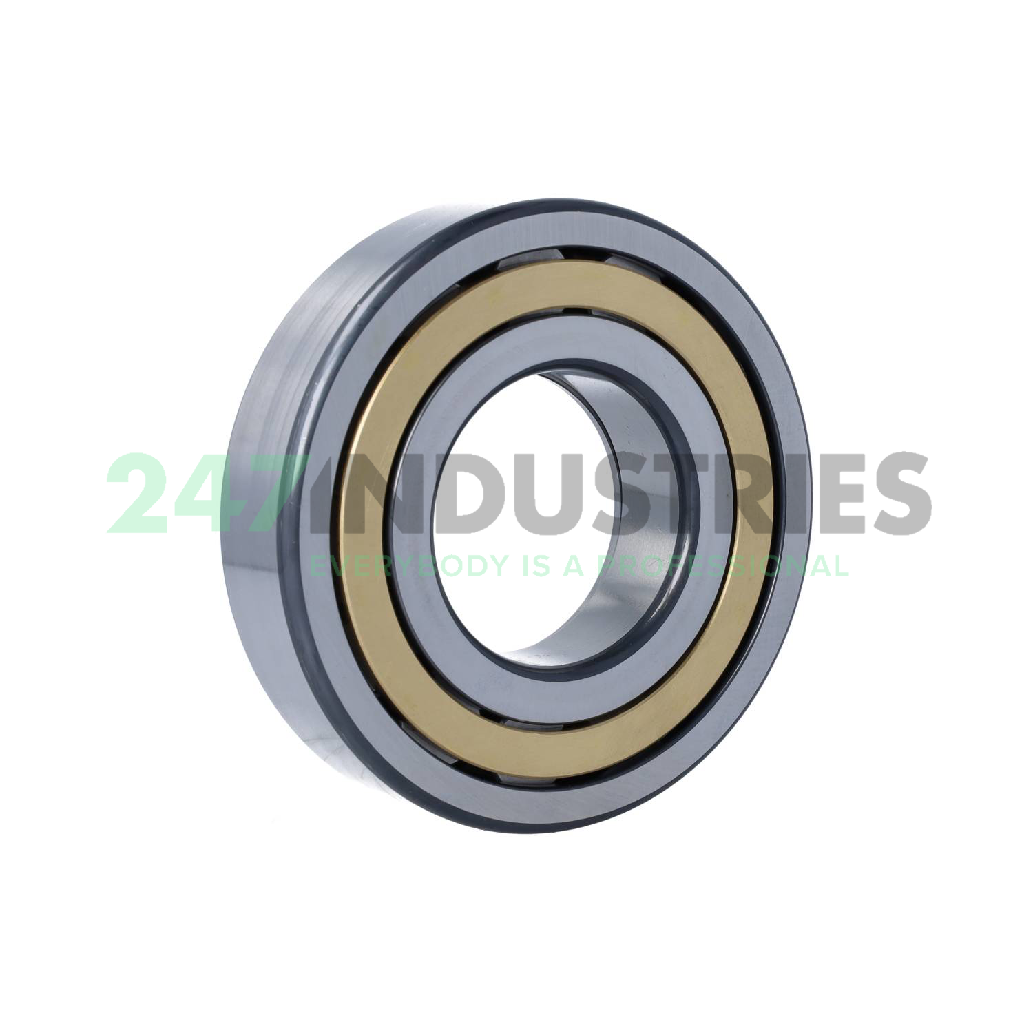 NUP313-E-XL-M1-C3 FAG Image 3