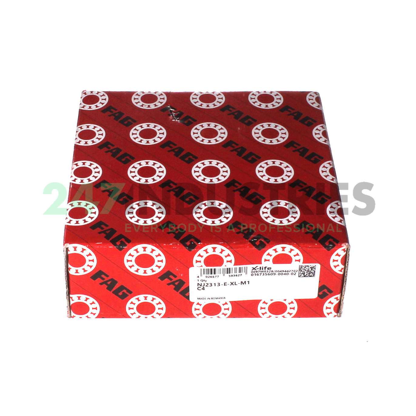 NJ2313-E-XL-M1-C4 FAG Image 4