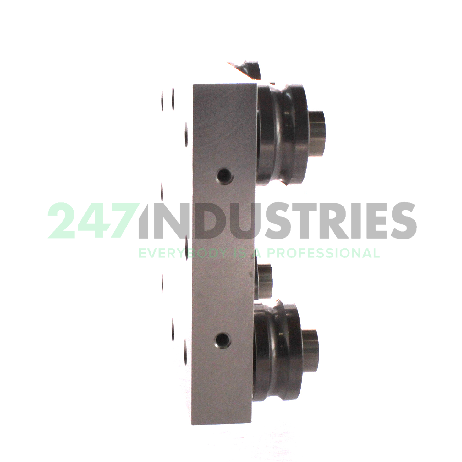 LFL52-E-SF-RB INA Image 2