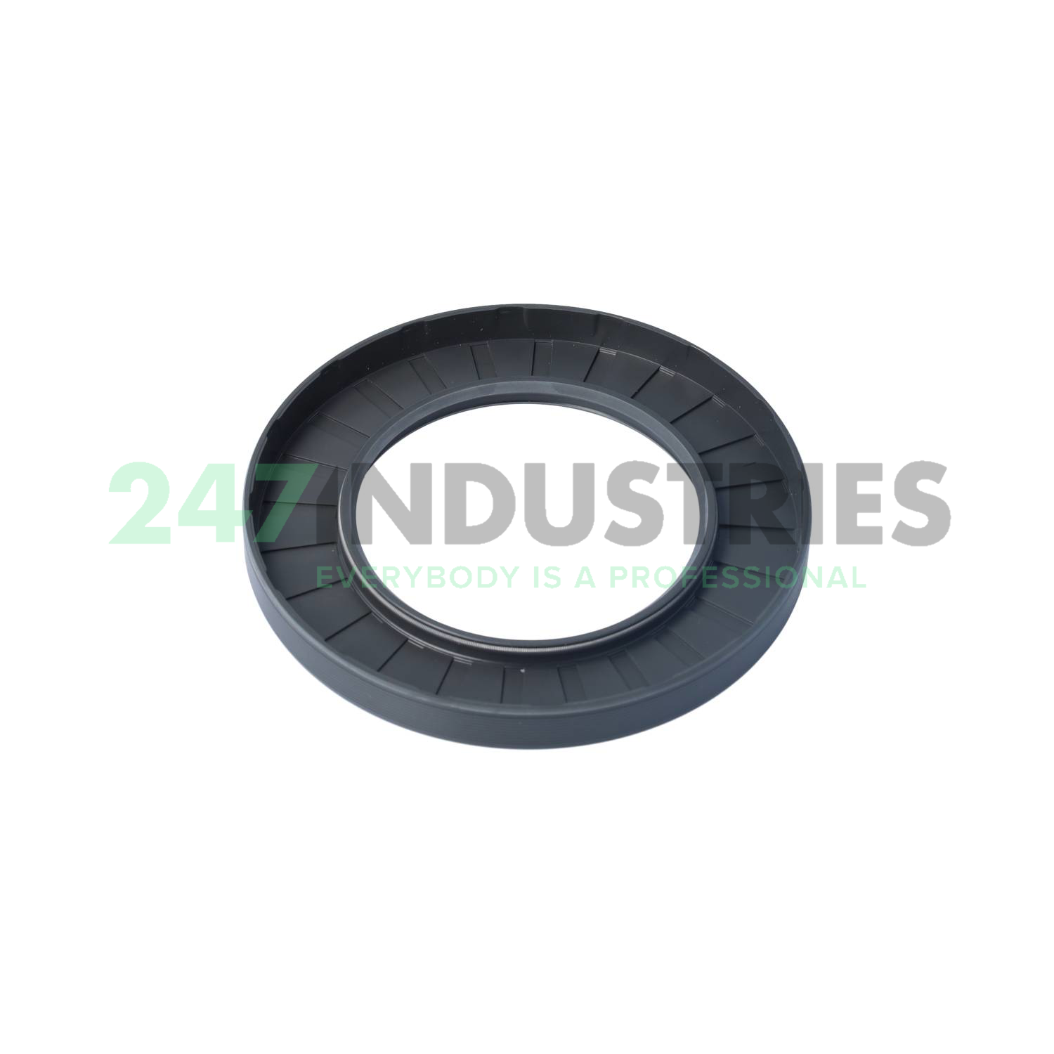 75X120X12HMS5RG SKF Image 2