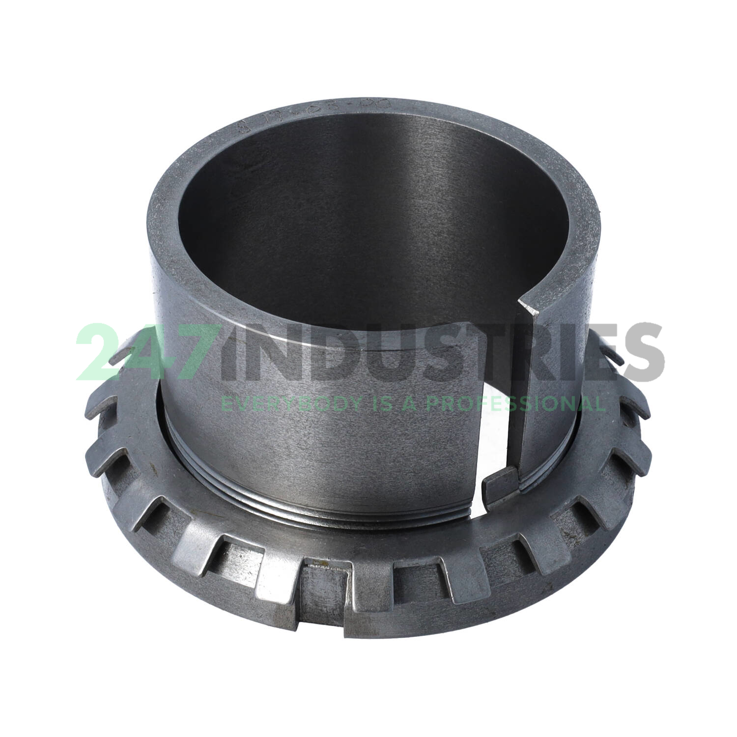 SNW17 03-00 Miether Image 2